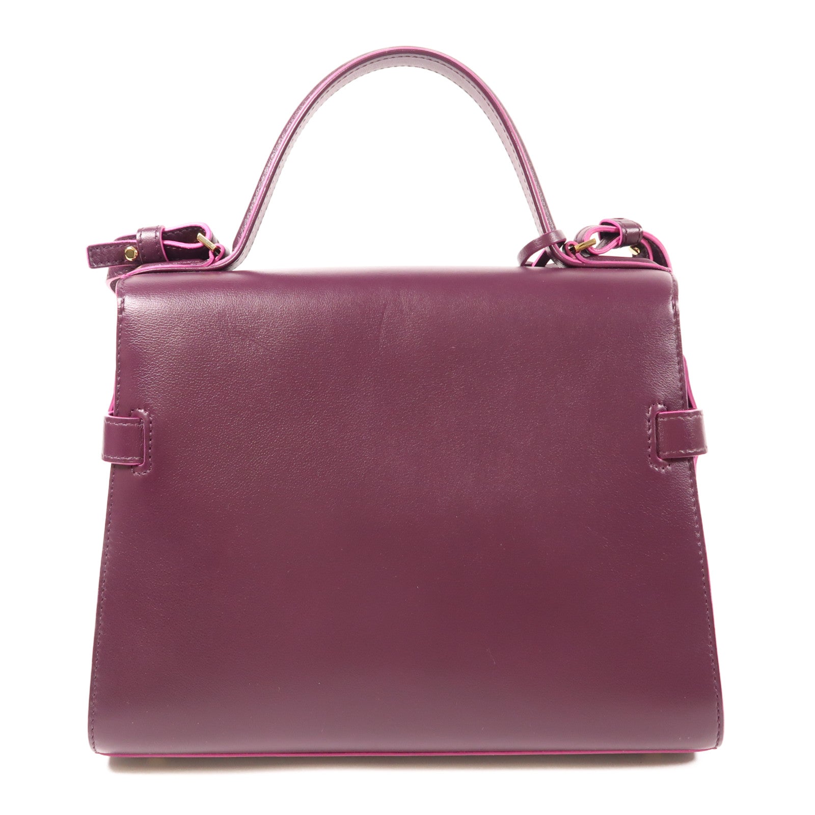 Delvaux 牛皮皮革Tempete金扣手挽肩背兩用袋