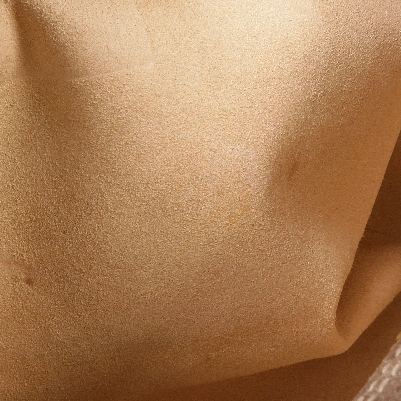 GUCCI 塗層帆布Ophidia Crossbody Bag金扣肩背袋