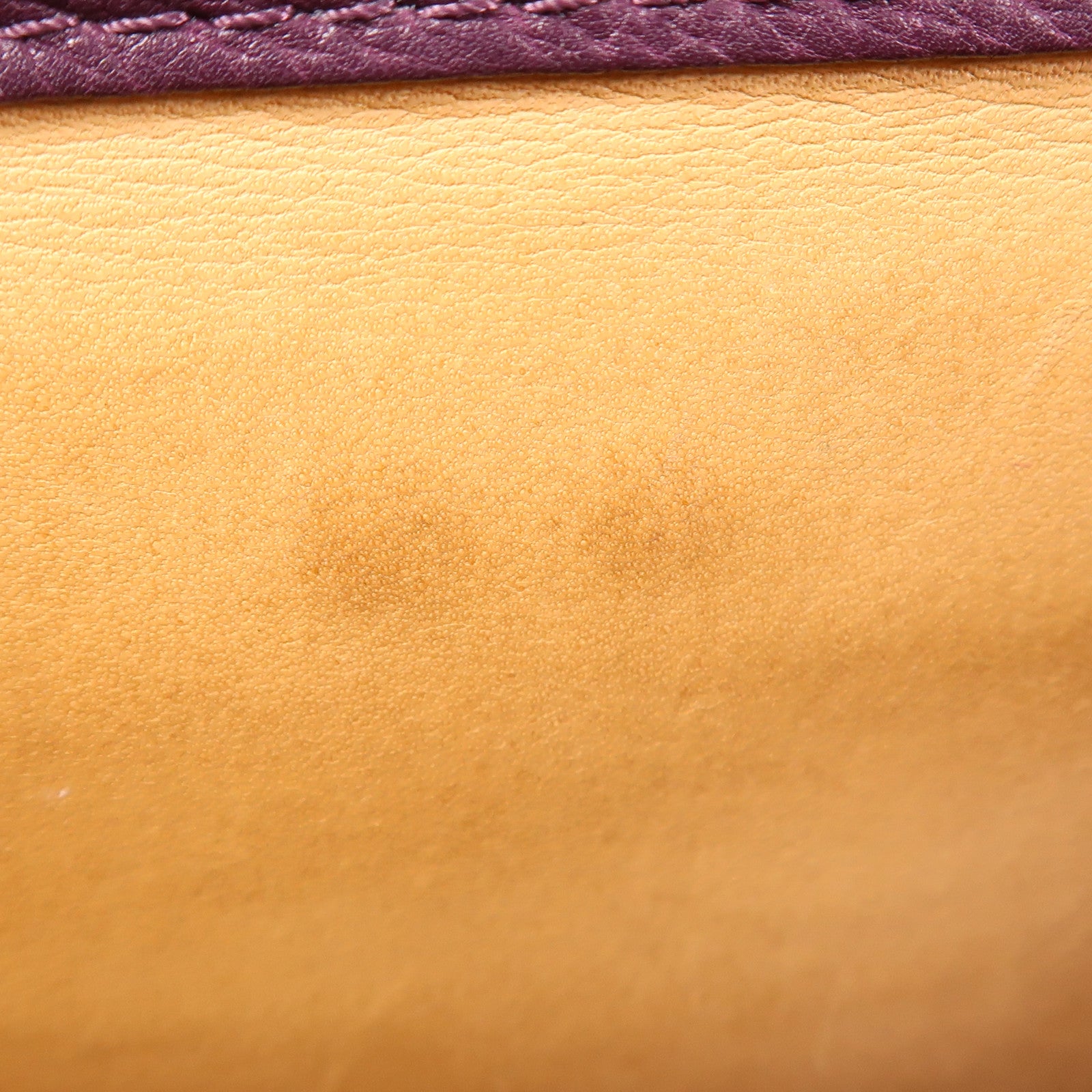 Delvaux 牛皮皮革Tempete MM金扣手挽肩背兩用袋