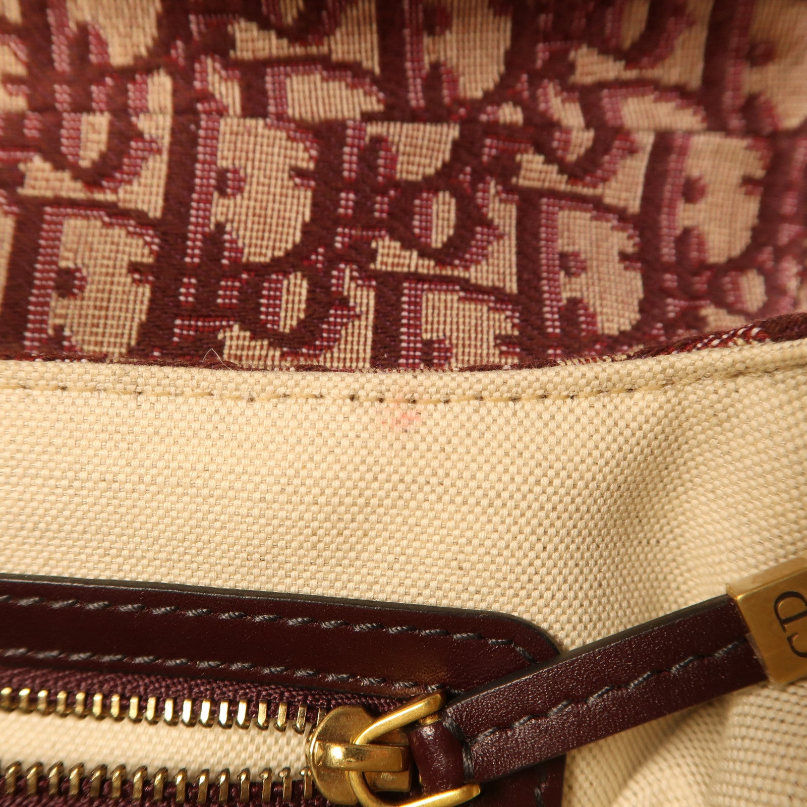 Dior 帆布Saddle Bag金扣肩背袋