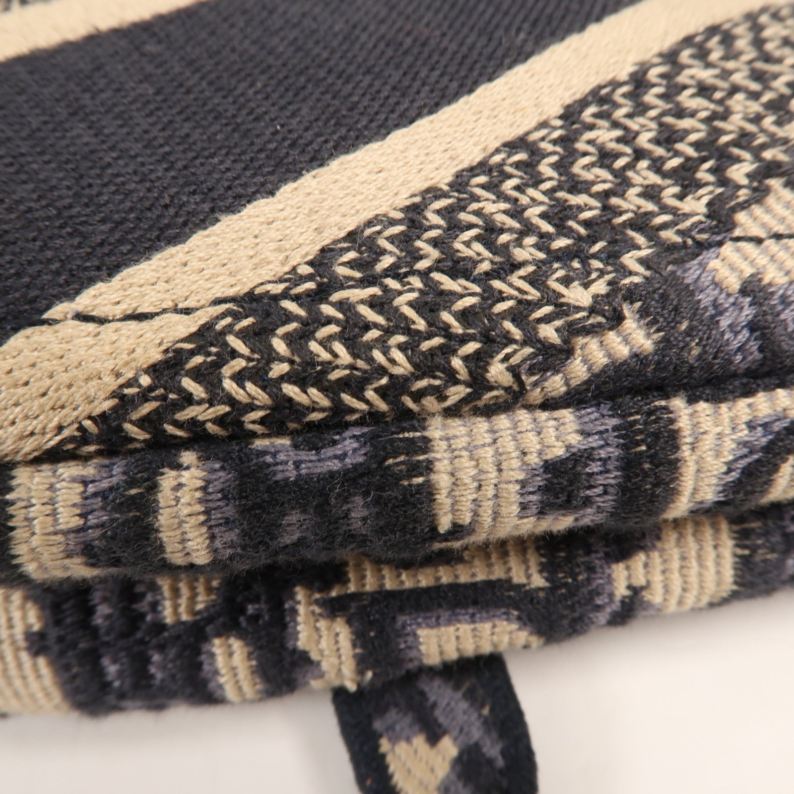 Dior 帆布Saddle金扣手挽肩背兩用袋