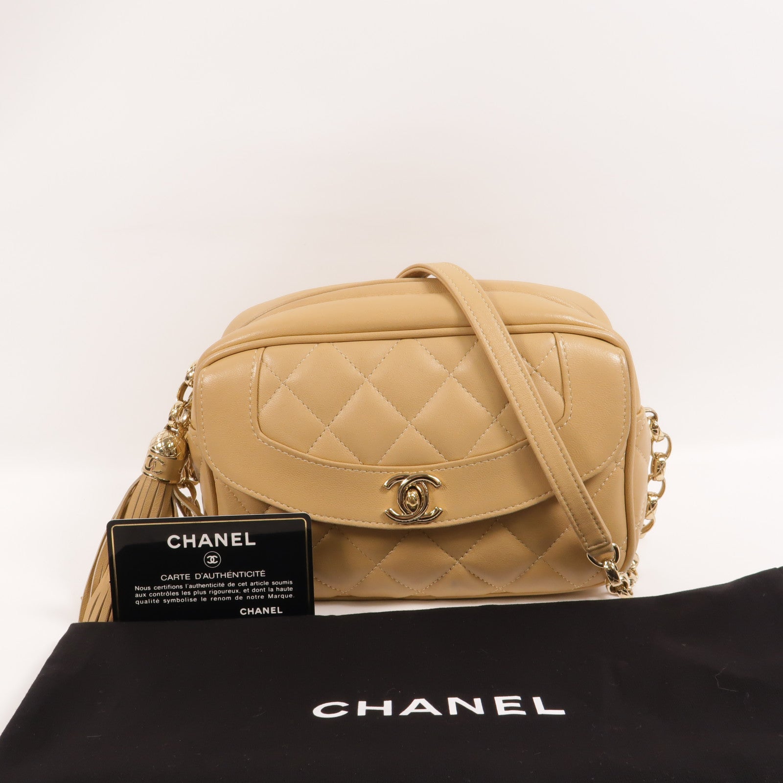 CHANEL 羊皮皮革Camera Bag肩背袋
