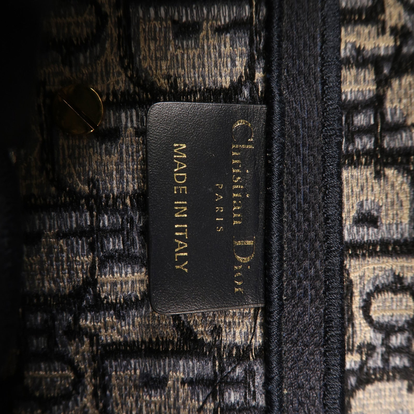 Dior 帆布Saddle金扣手挽肩背兩用袋