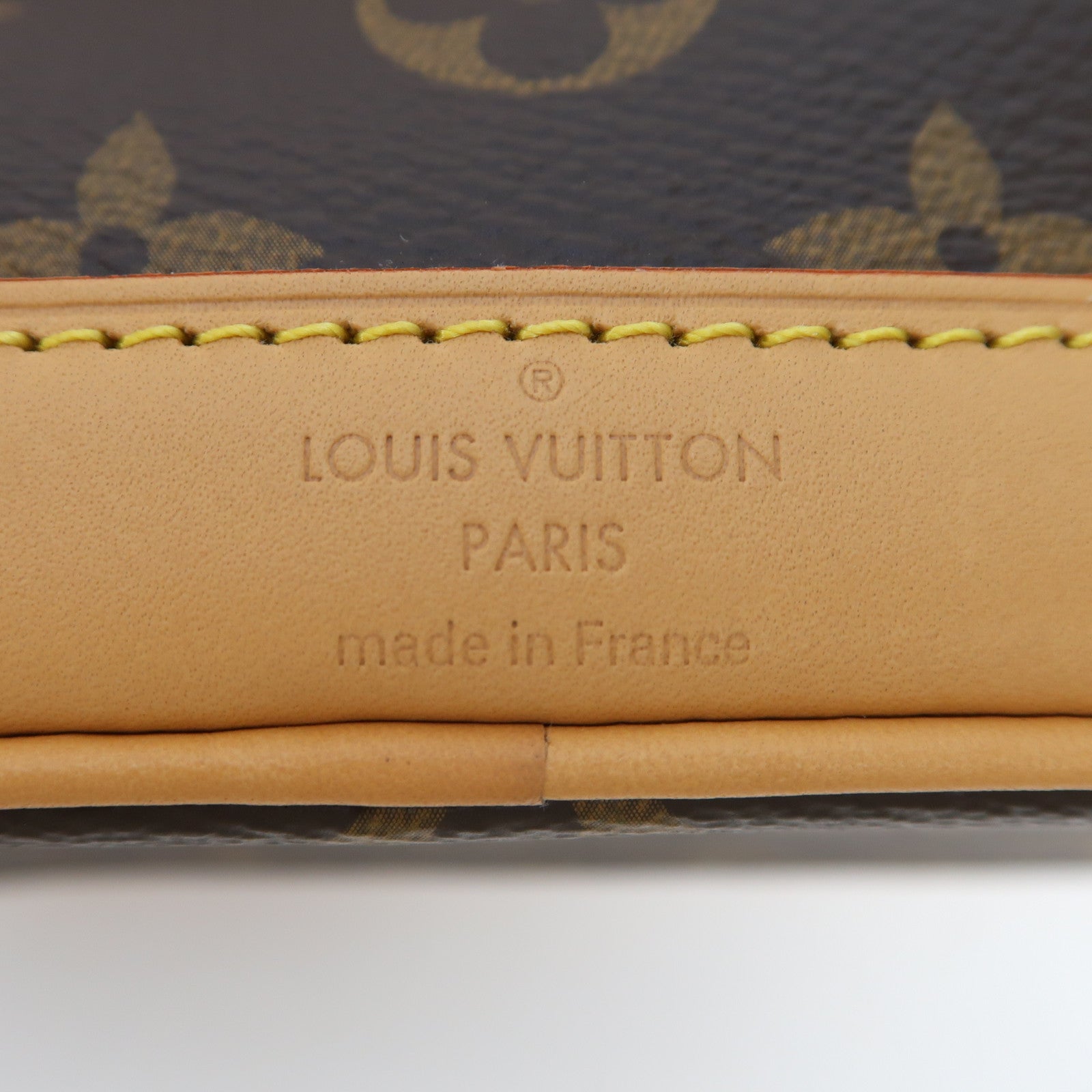 LOUIS VUITTON Monogram Nano Noe金扣手挽肩背兩用袋啡色