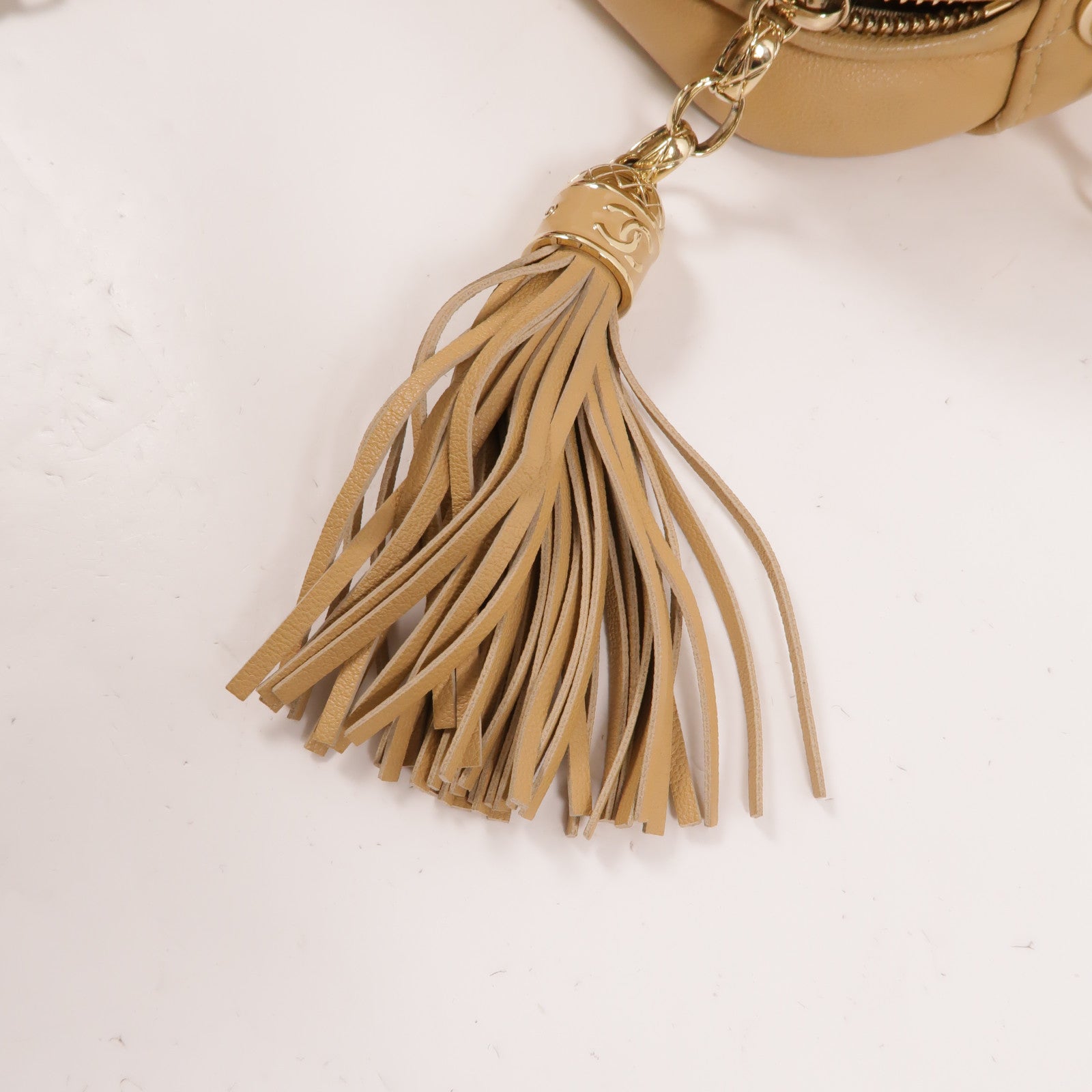 CHANEL 羊皮皮革Camera Bag肩背袋