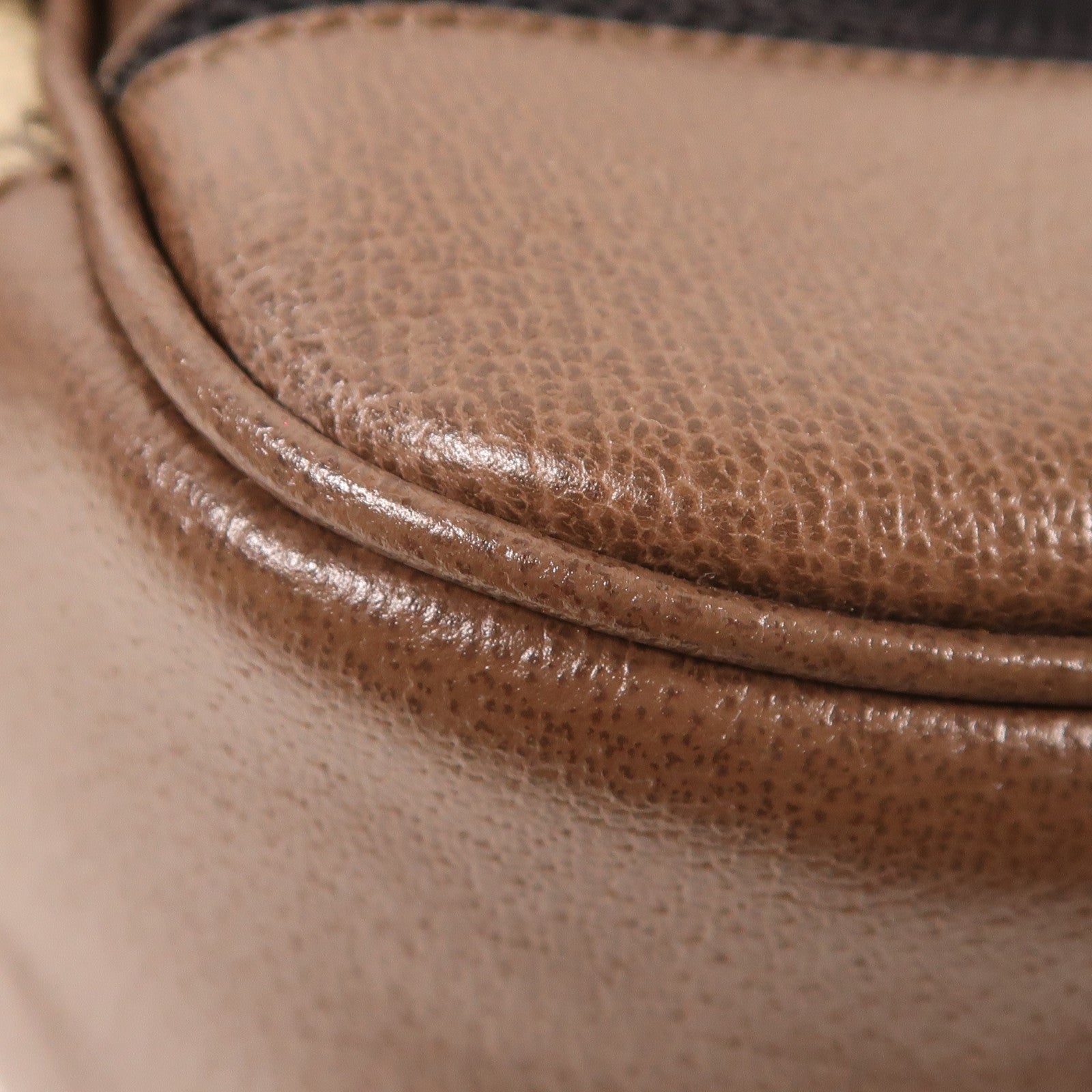 GUCCI GG GHW Ophidia Backpack Bag 745718 Coated Canvas Brown