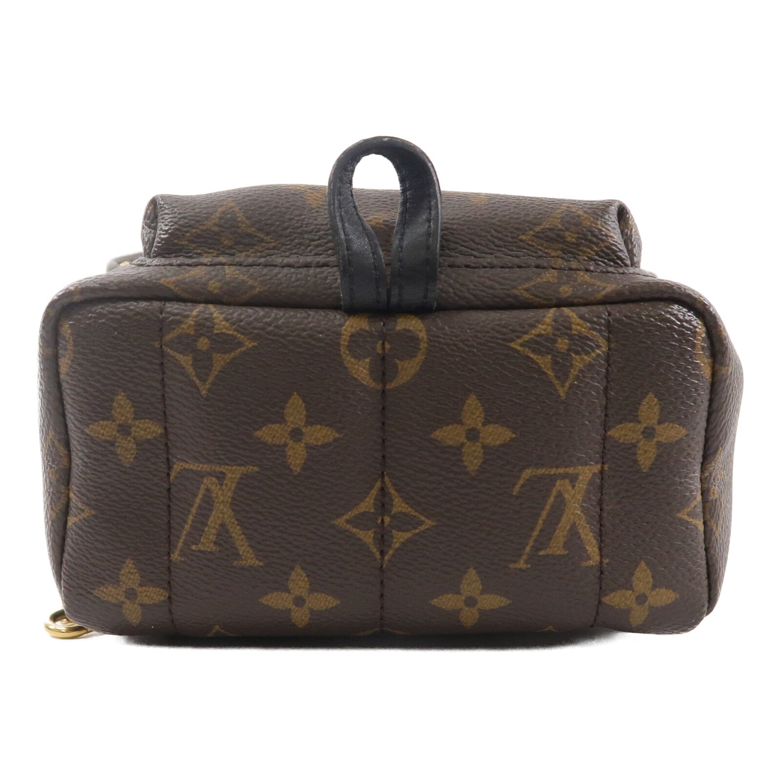 LOUIS VUITTON Monogram Palm Springs Mini背包