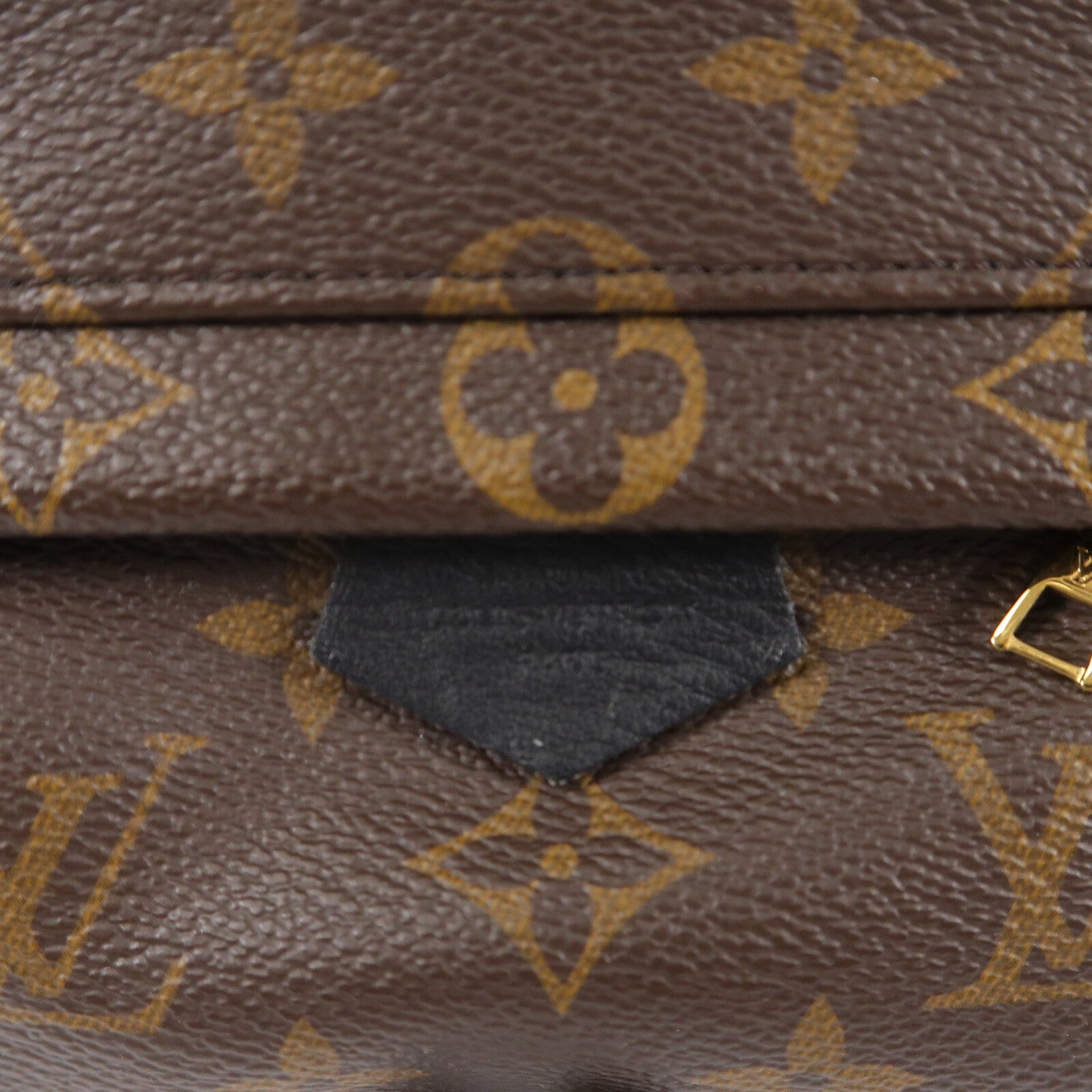 LOUIS VUITTON Monogram Palm Springs Mini背包