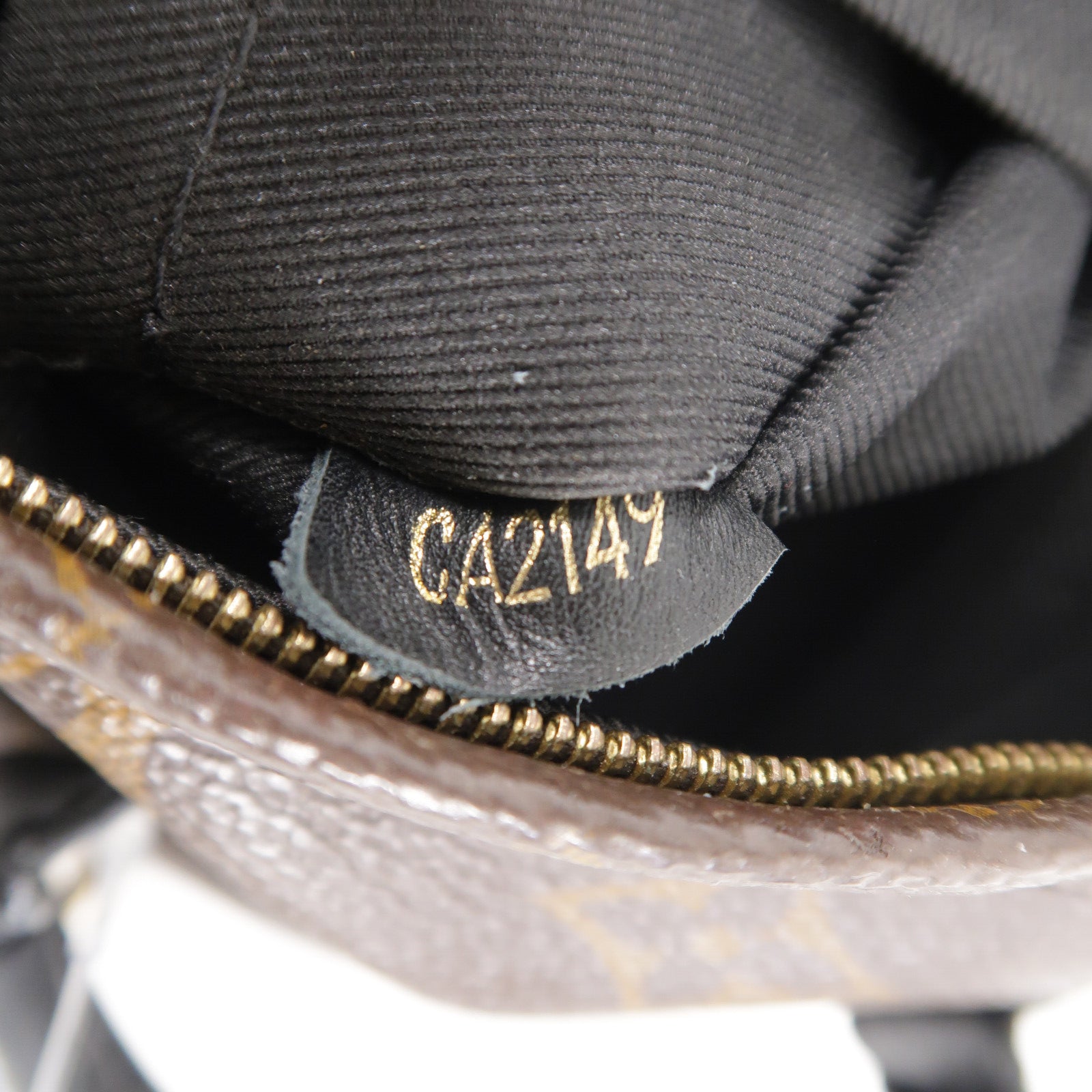 LOUIS VUITTON Monogram Palm Springs Mini背包