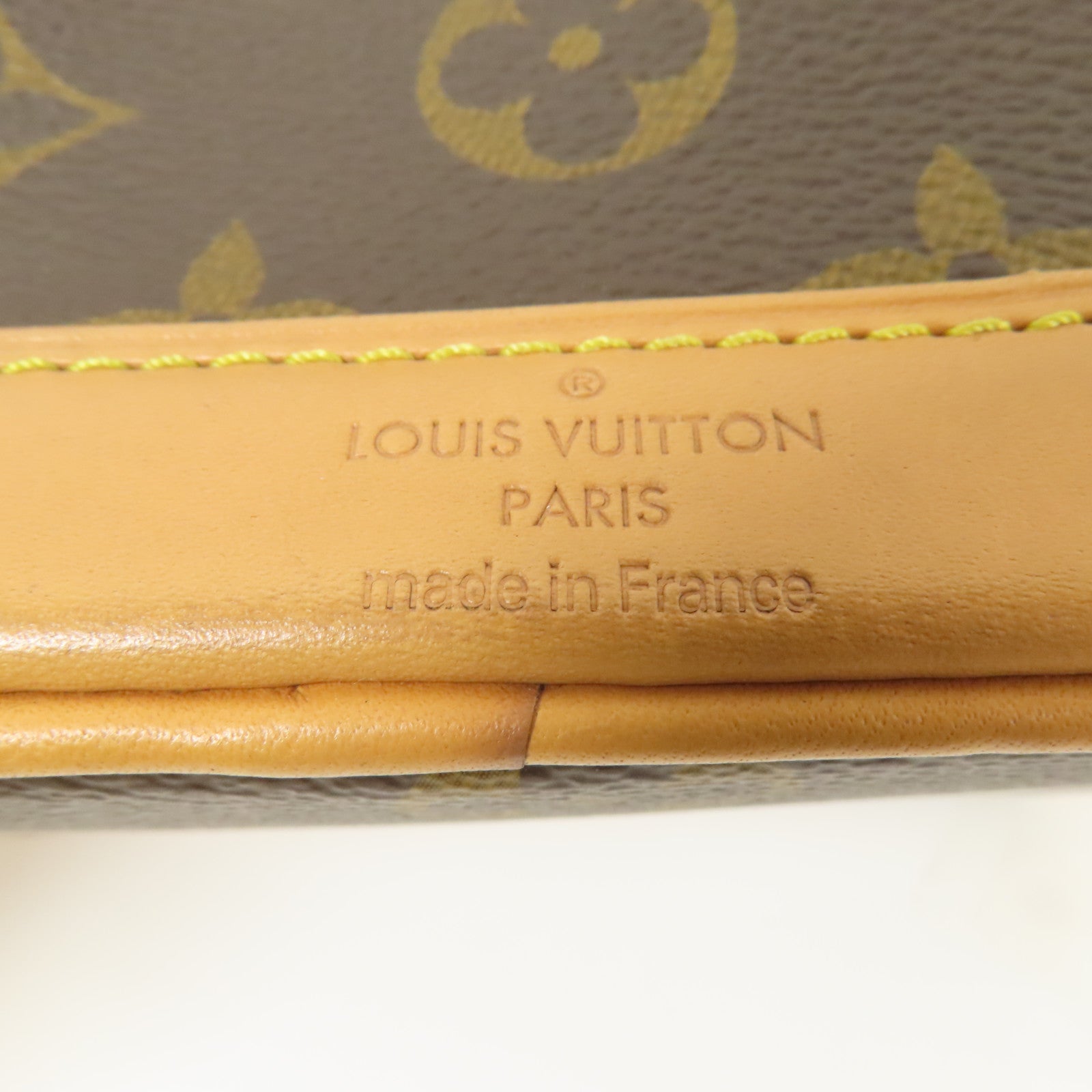 LOUIS VUITTON Monogram Nano Noe金扣手挽肩背兩用袋