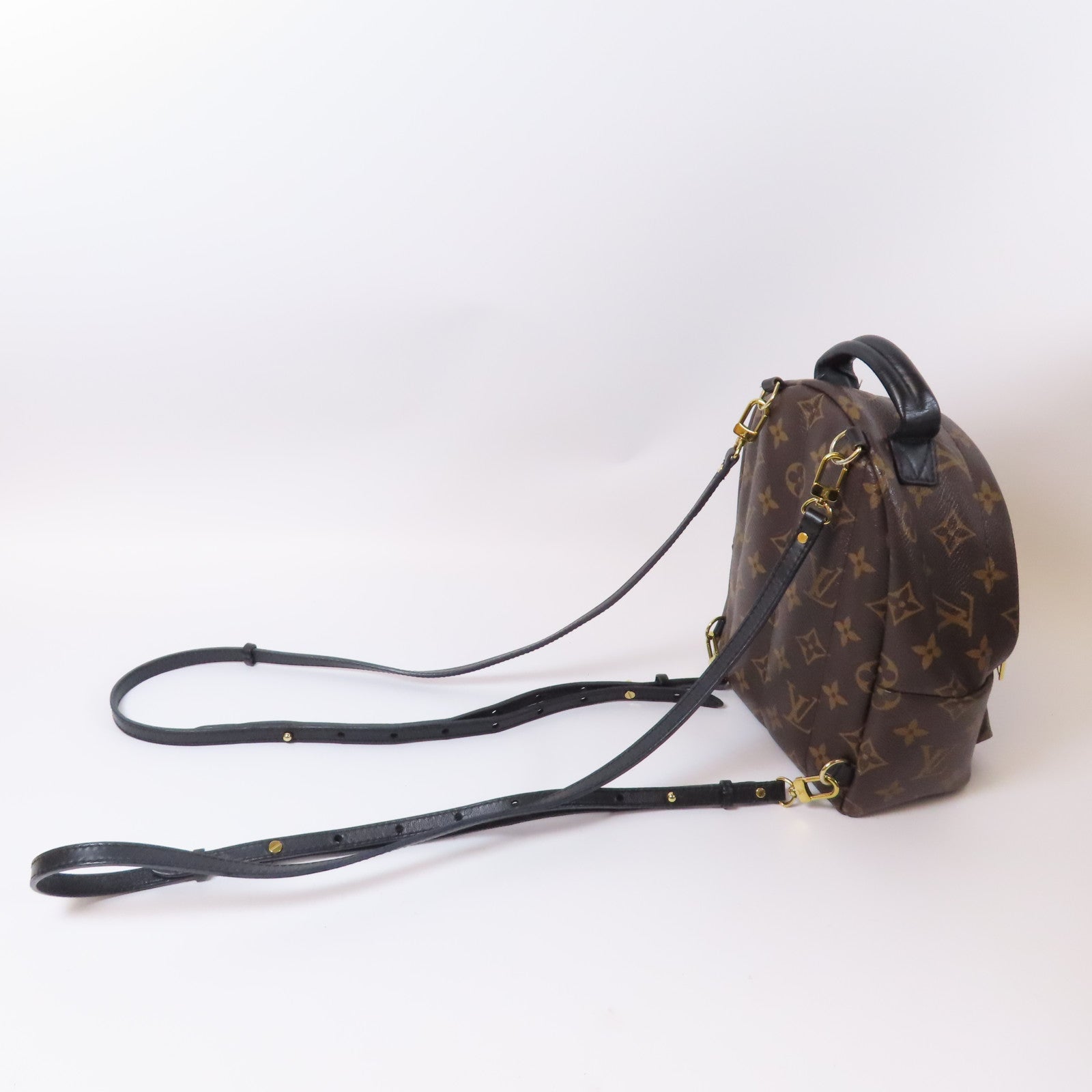 LOUIS VUITTON Monogram Palm Springs金扣背包啡色