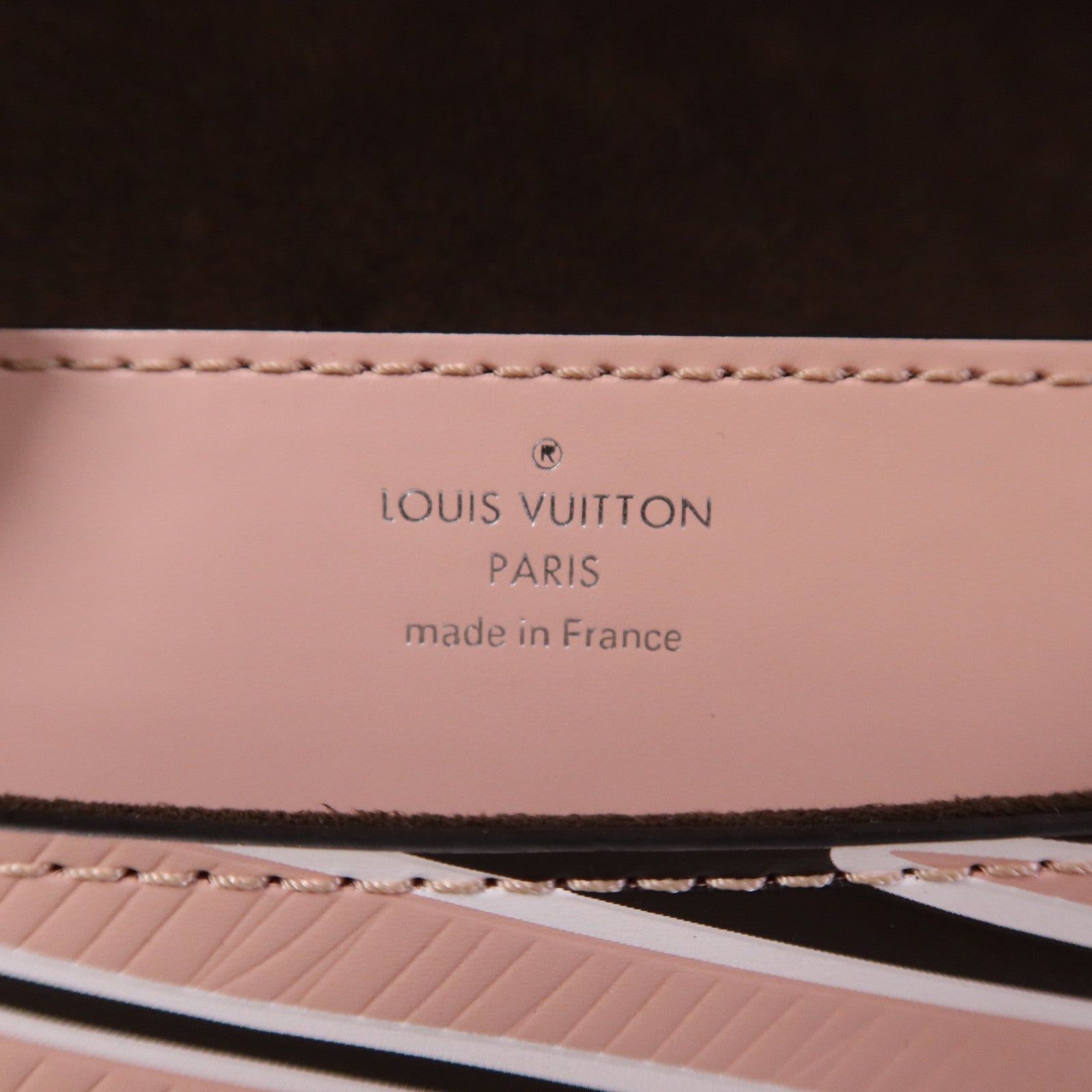 LOUIS VUITTON Epi Zebra Print Bag銀扣鏈帶肩背袋