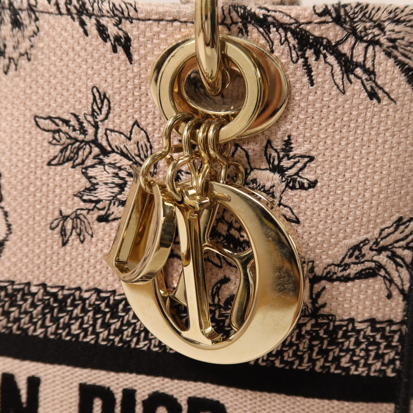 Dior 帆布Lady D-Lite Medium金扣手挽肩背兩用袋