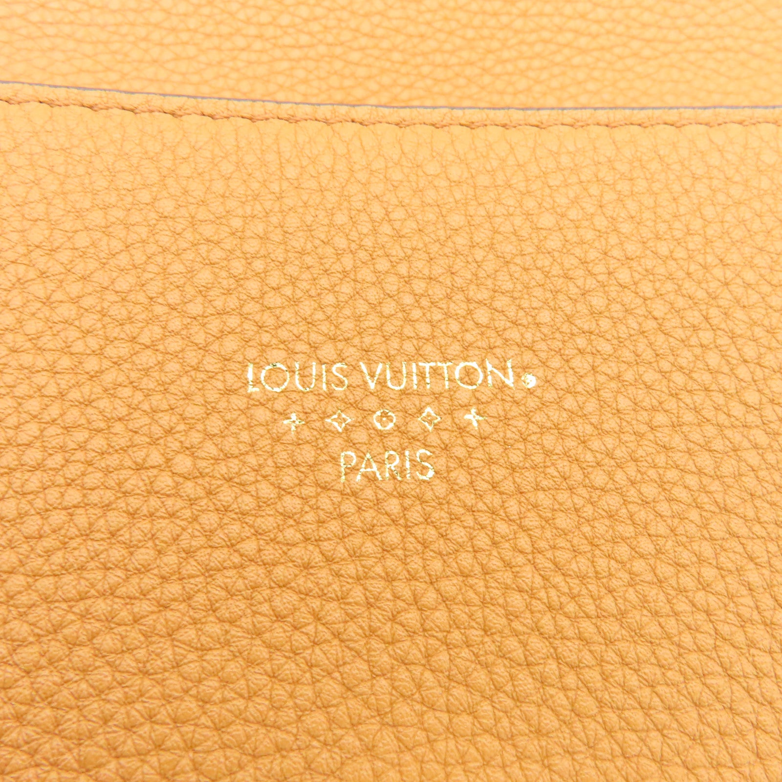 LOUIS VUITTON 【清倉大減價】粒面小牛皮Pont 9 Soft MM金扣肩背袋啡色