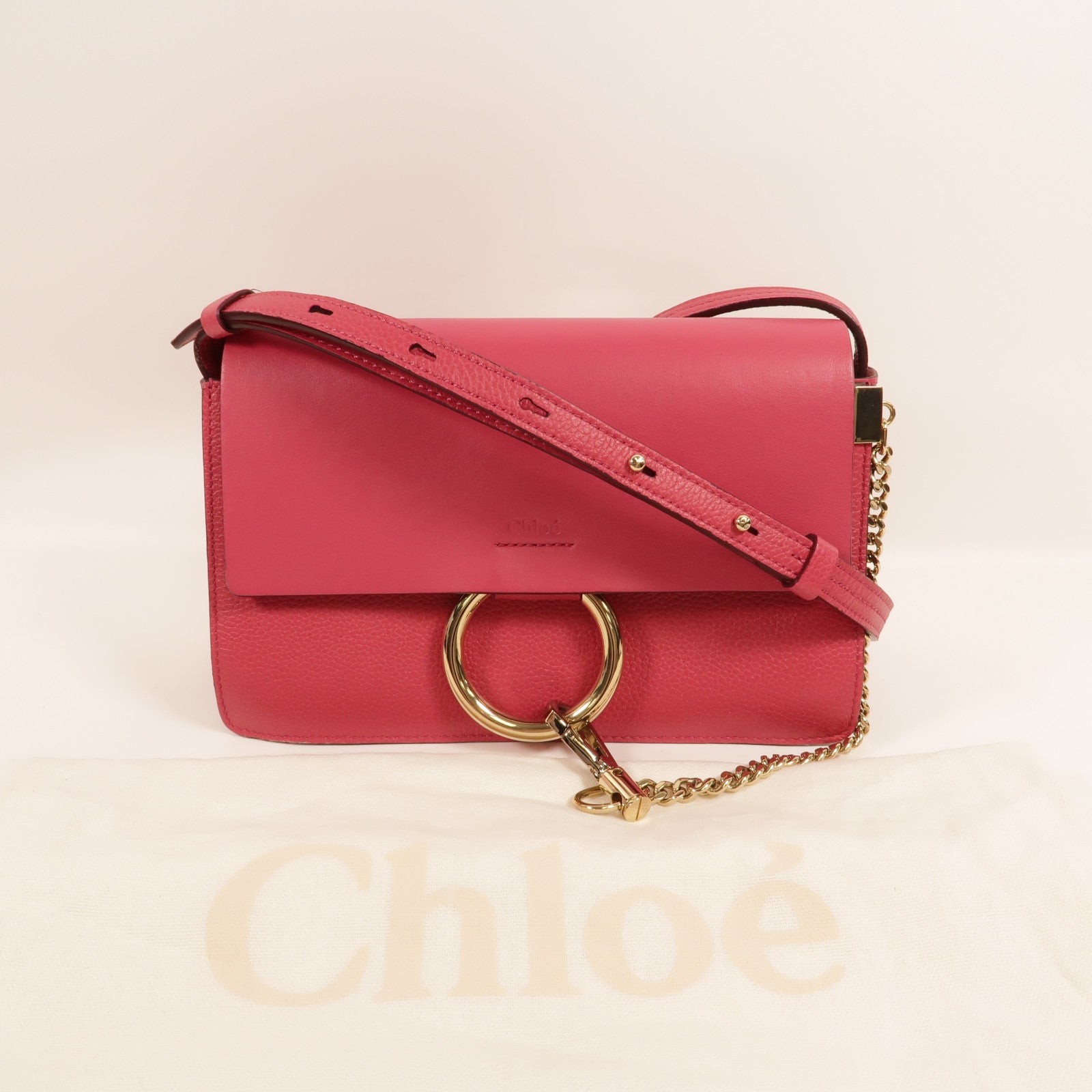 Chloe 牛皮皮革Faye肩背袋