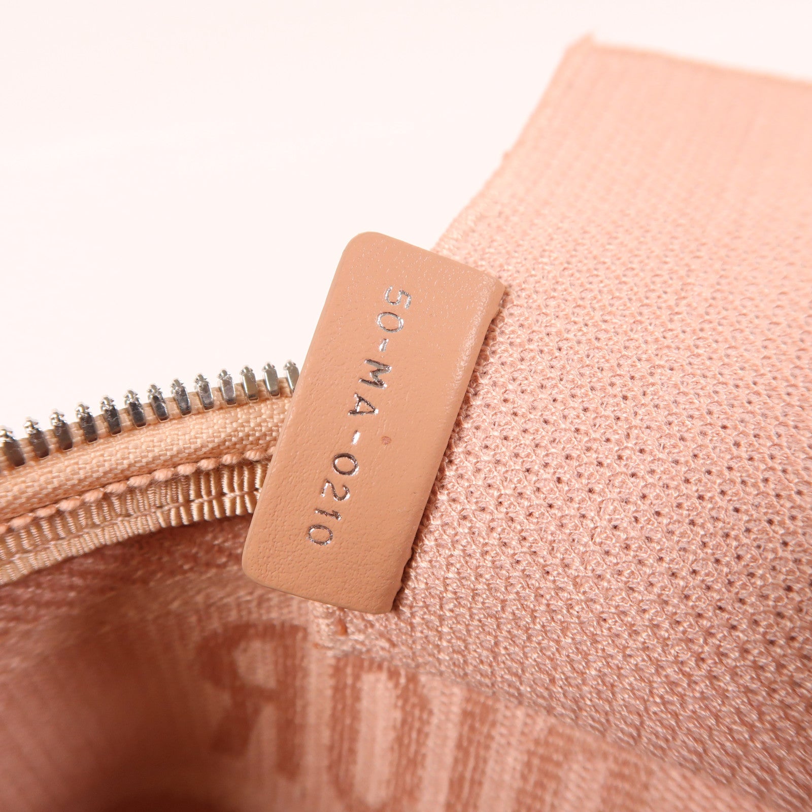 Dior 帆布Vanity Case銀扣手挽袋