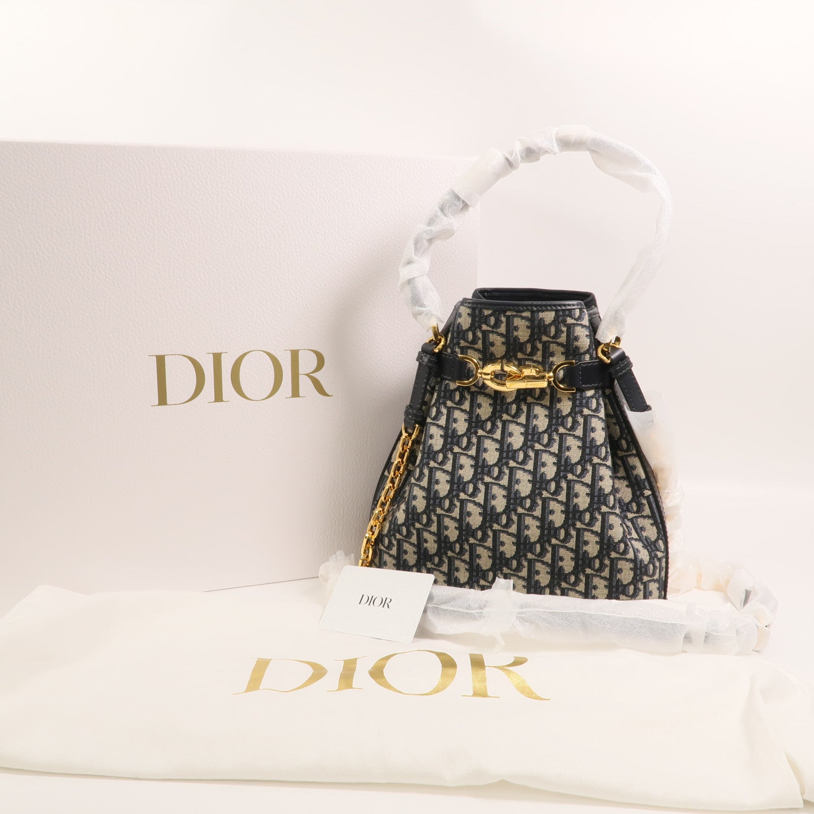 Dior Oblique帆布C'est Dior Medium手挽肩背兩用袋