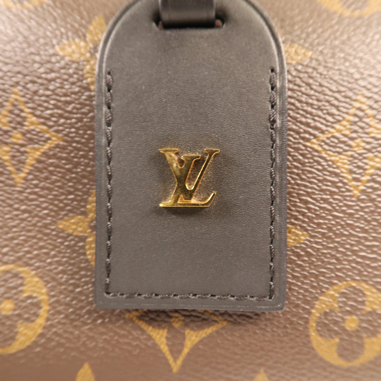 LOUIS VUITTON Monogram Petite Malle Souple金扣手挽肩背兩用袋棕色