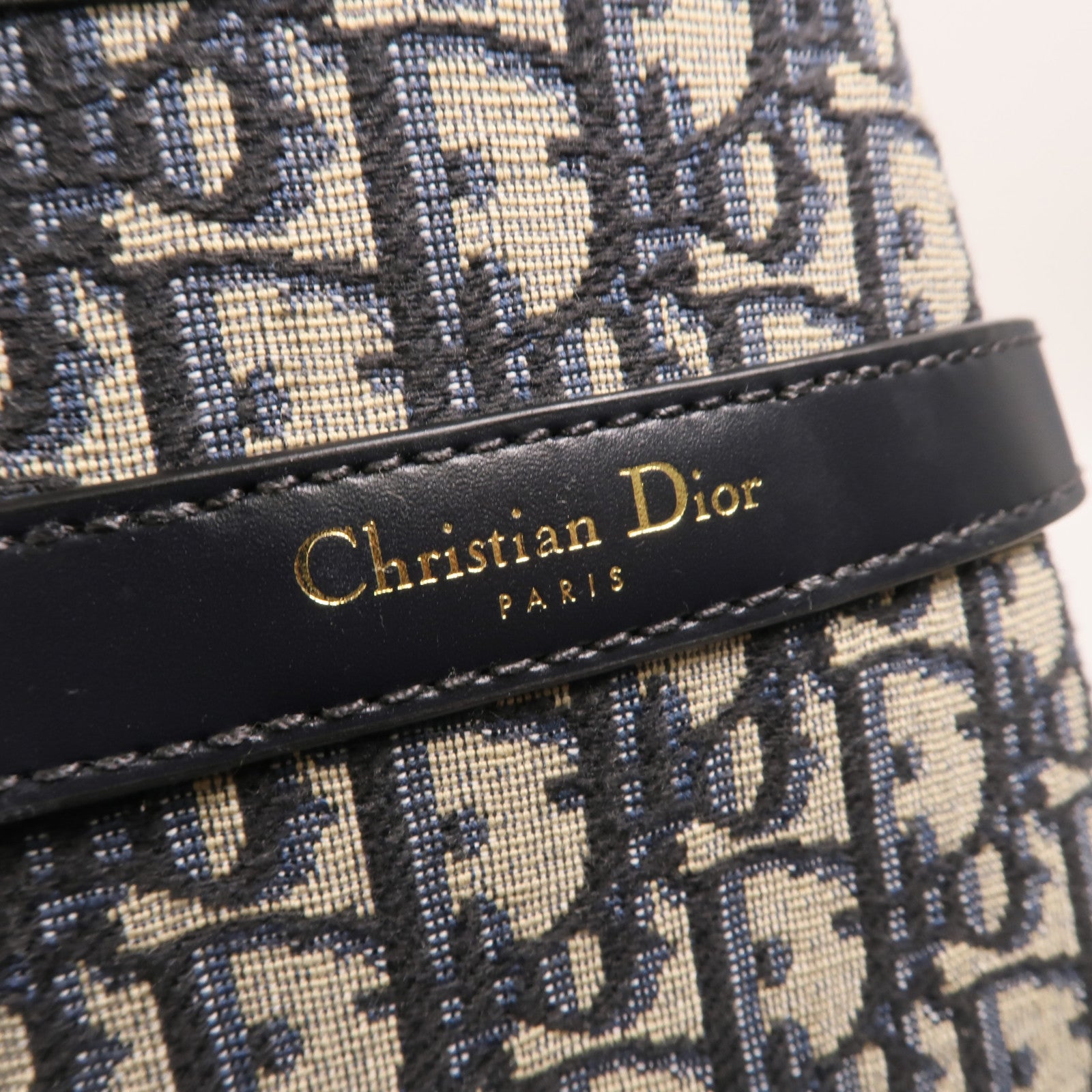 Dior Oblique帆布C'est Dior Medium手挽肩背兩用袋