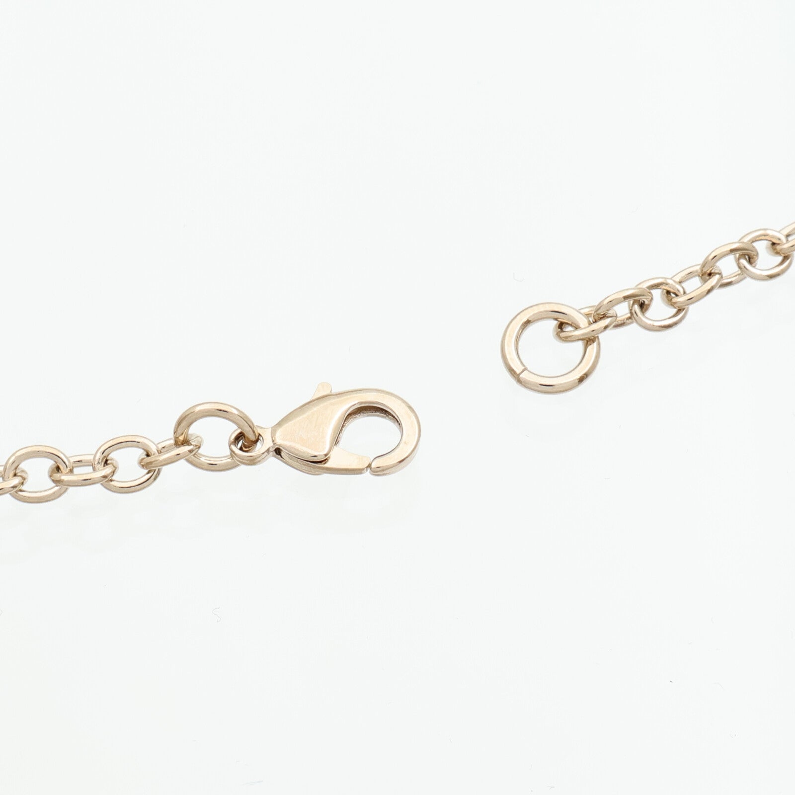 CHANEL 金屬/琺瑯Lion Book Locket項鍊