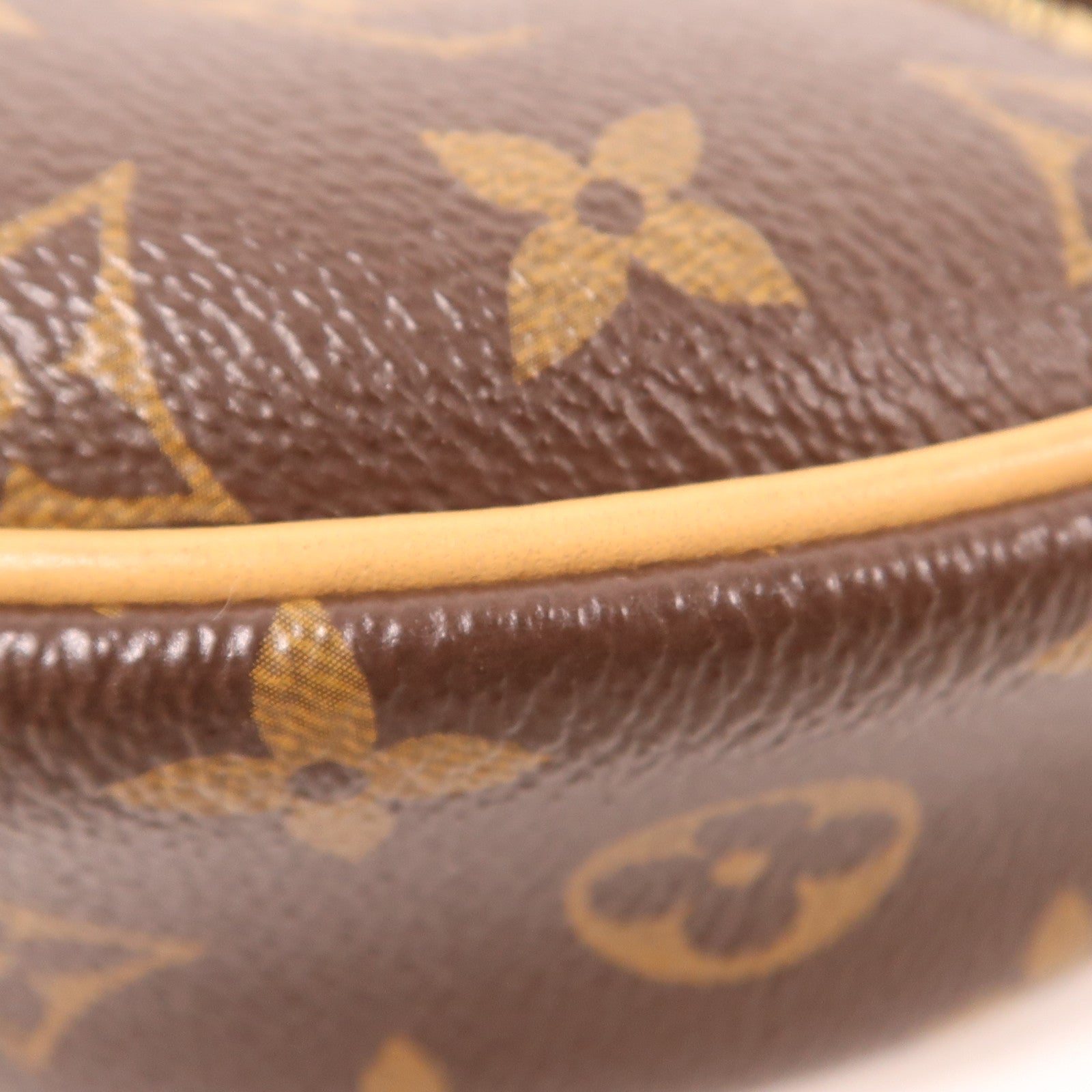 LOUIS VUITTON LV GHW Loop 2 Way Shoulder Bag M81098 Monogram Brown