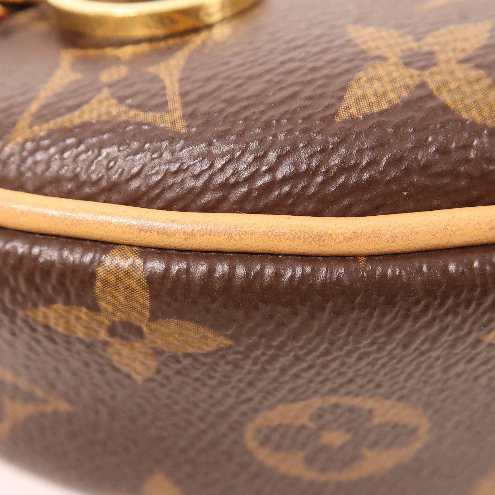 LOUIS VUITTON LV GHW Loop 2 Way Shoulder Bag M81098 Monogram Brown