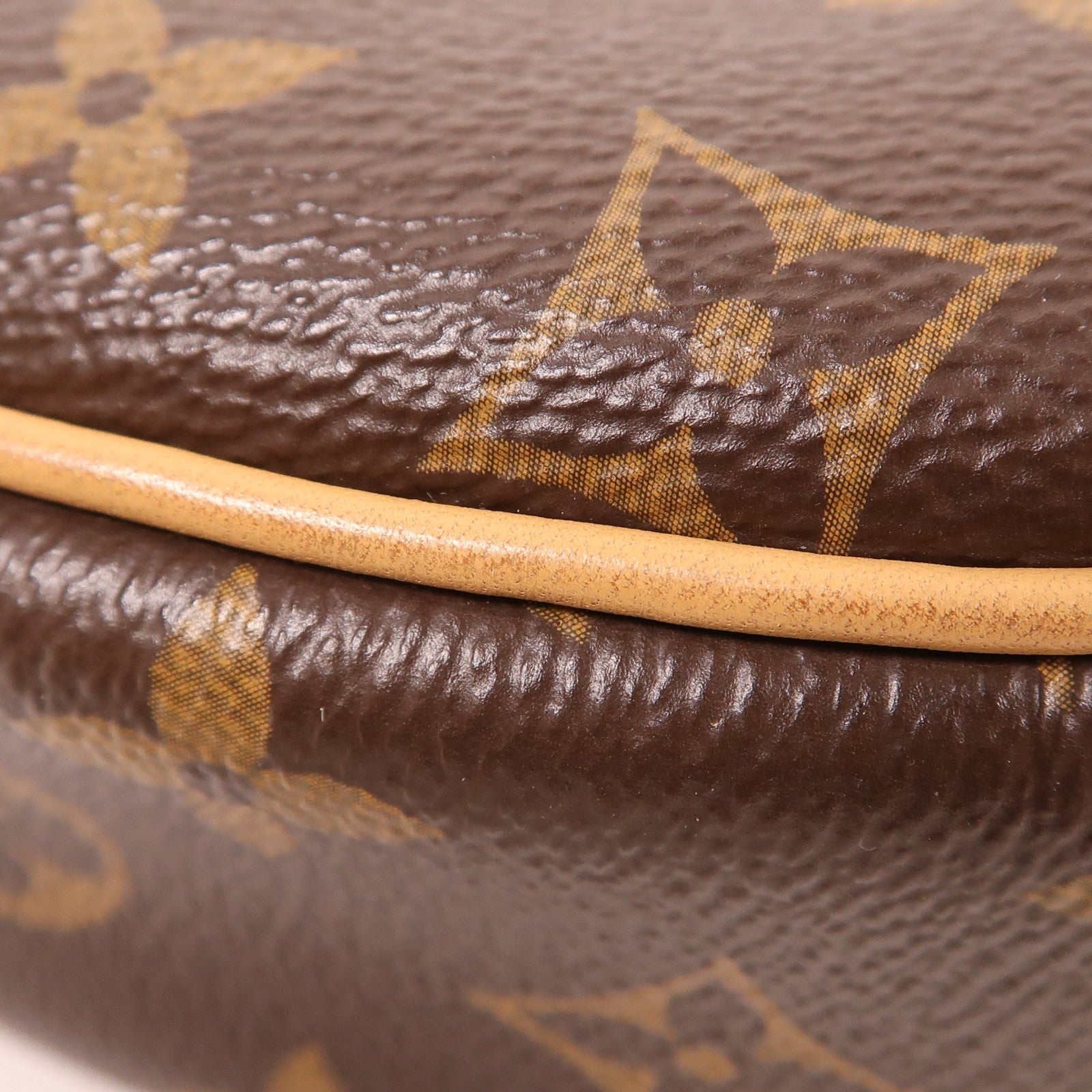 LOUIS VUITTON LV GHW Loop 2 Way Shoulder Bag M81098 Monogram Brown