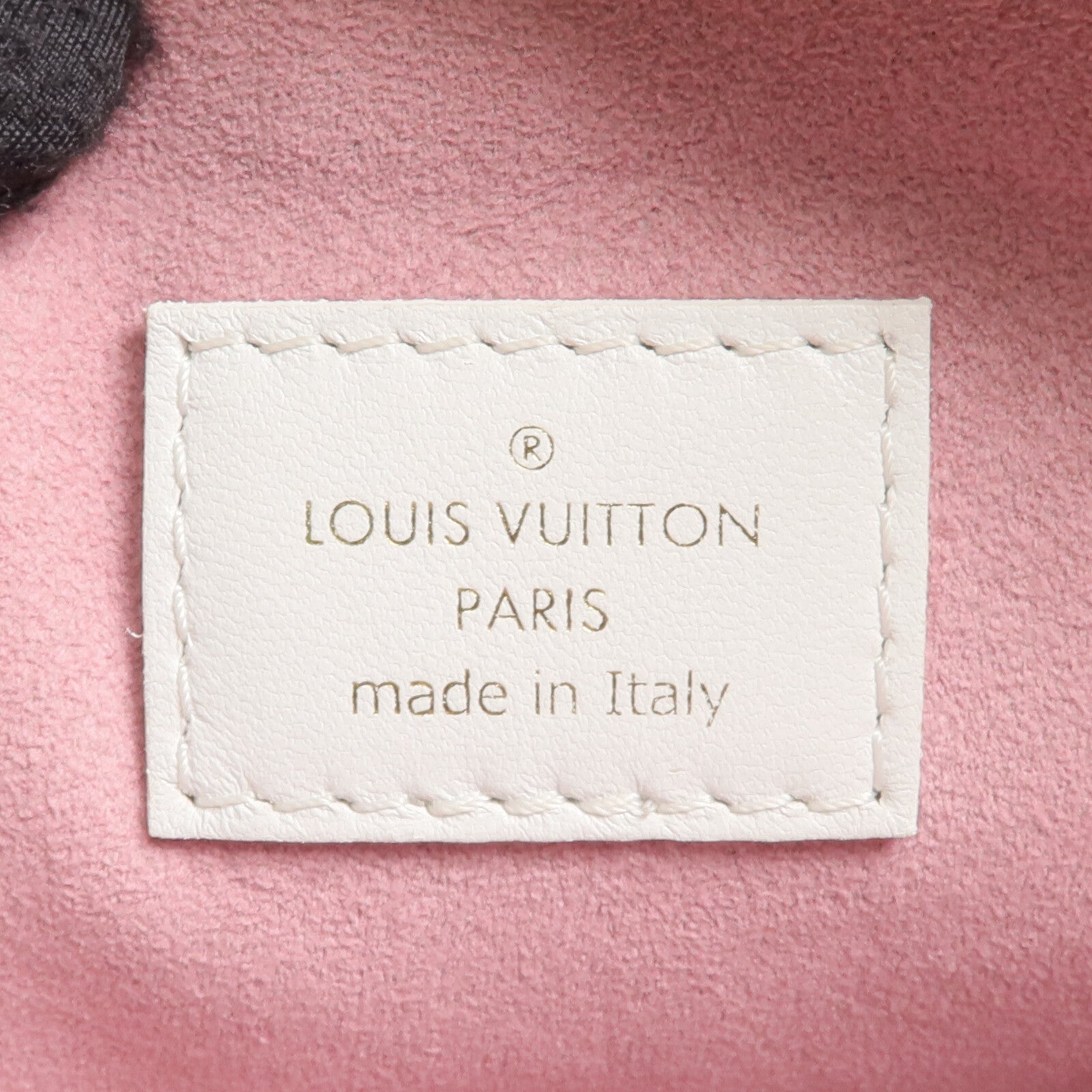 LOUIS VUITTON 羊皮皮革Coussin PM金扣手挽肩背兩用袋