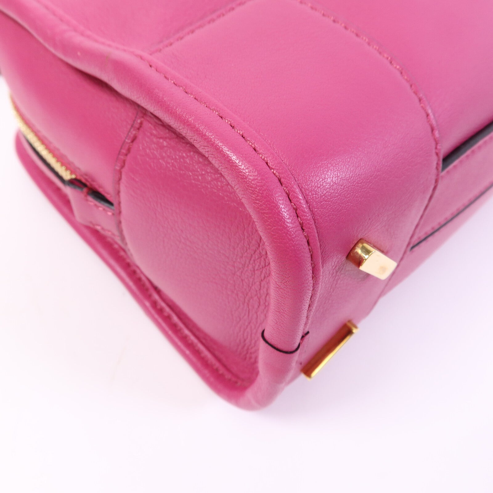 LOEWE 牛皮皮革Amazona金扣手挽肩背兩用袋