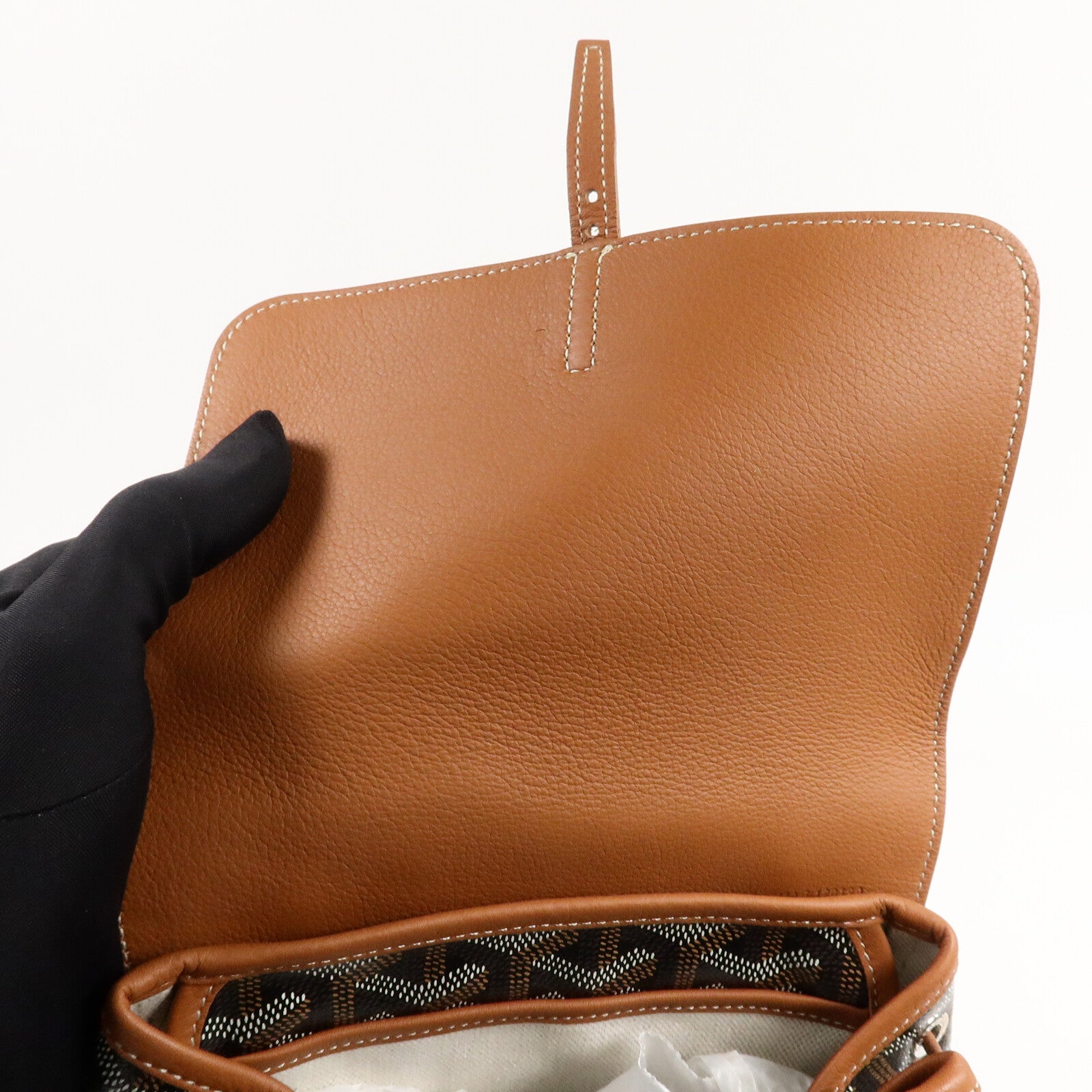 GOYARD Goyardine Canvas Alpin Mini Backpack背包