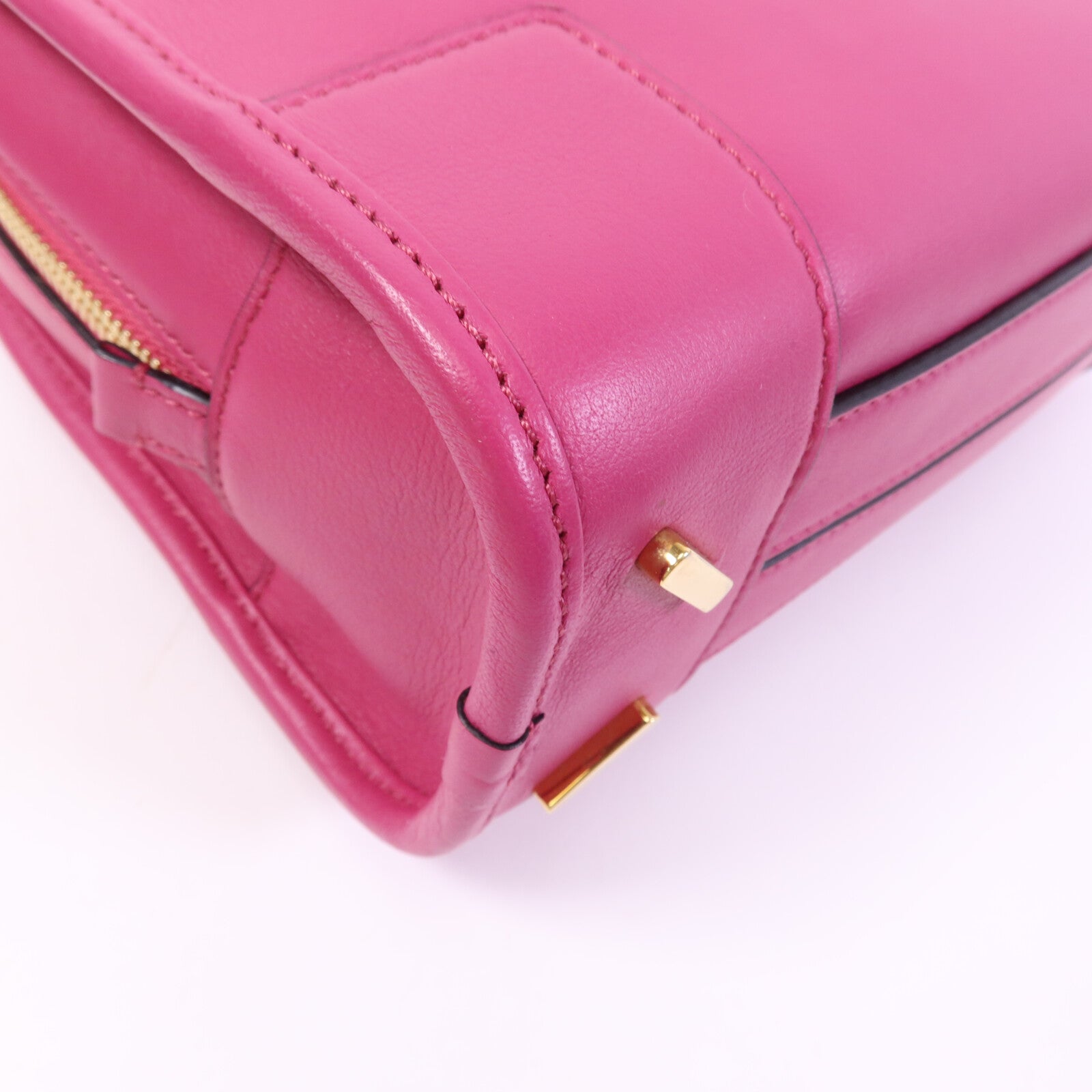 LOEWE 牛皮皮革Amazona金扣手挽肩背兩用袋