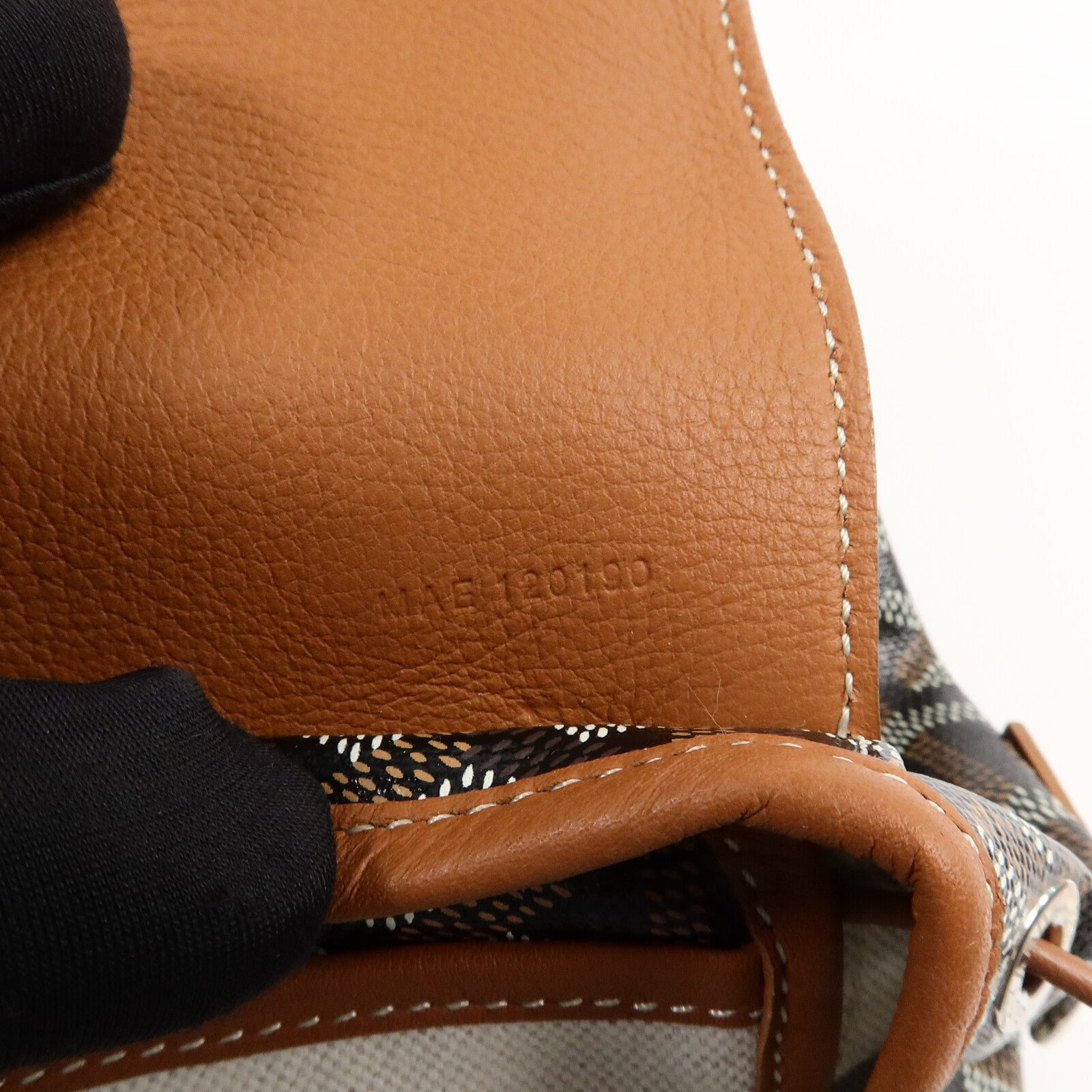 GOYARD Goyardine Canvas Alpin Mini Backpack背包