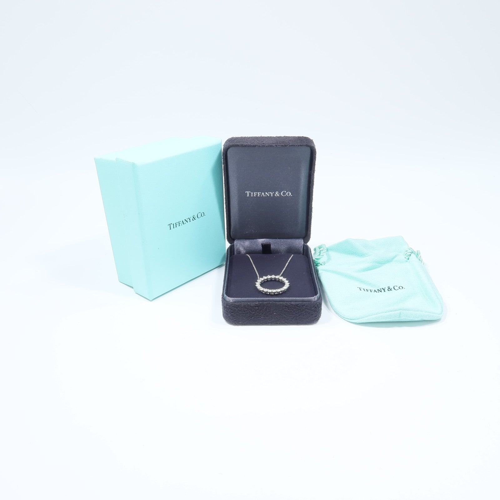 TIFFANY＆CO PT950鉑金Open Circle Necklace鑽石項鍊