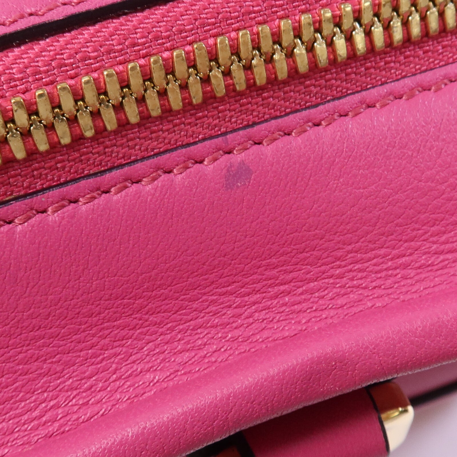 LOEWE 牛皮皮革Amazona金扣手挽肩背兩用袋