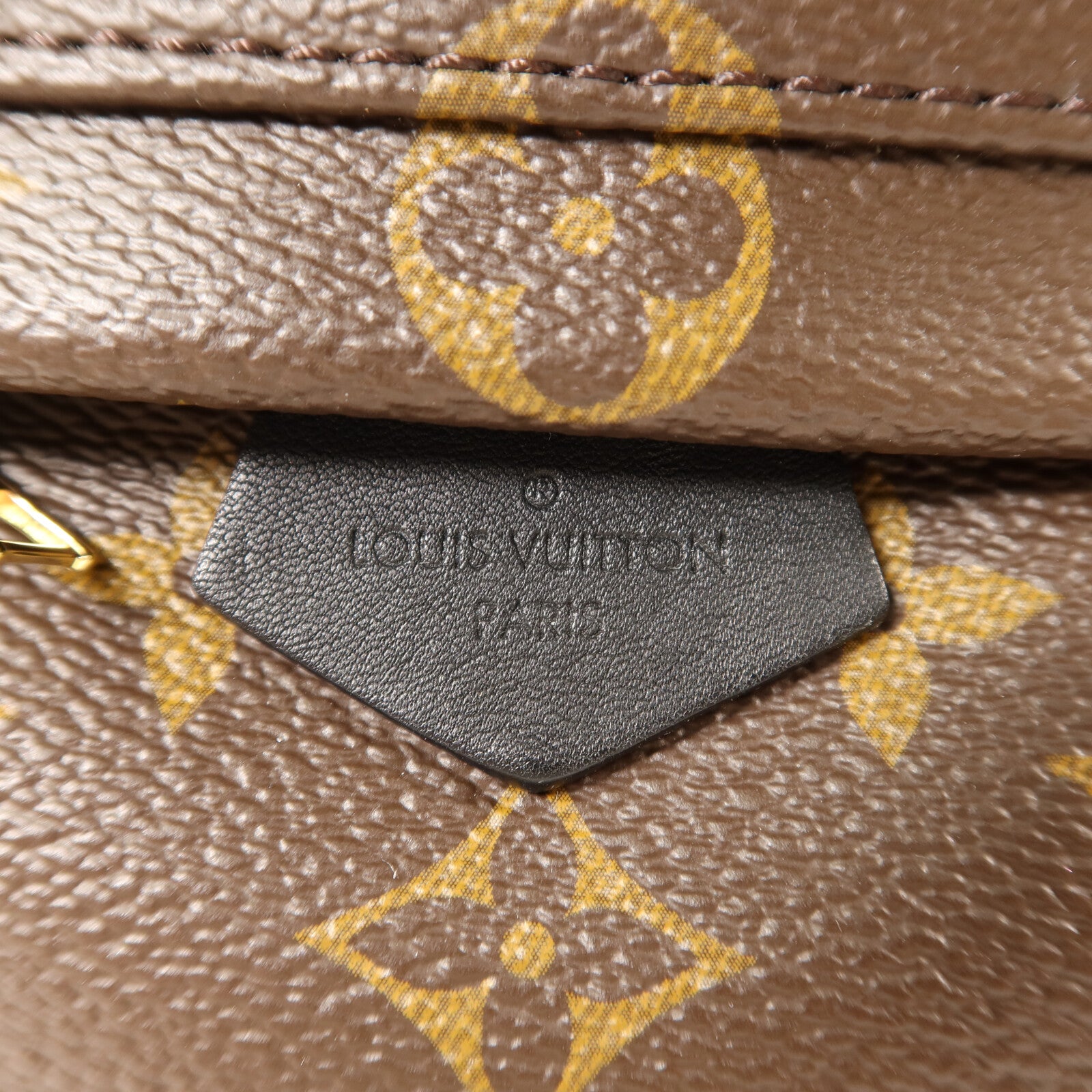 LOUIS VUITTON Monogram Palm Springs Mini金扣背包