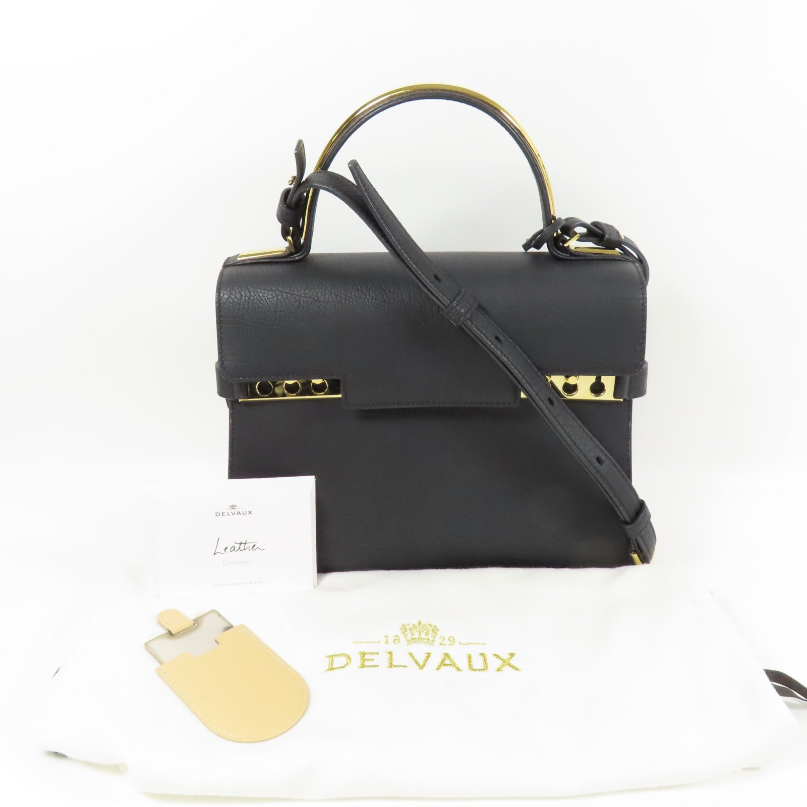 Delvaux 牛皮皮革Tempete MM金扣手挽肩背兩用袋