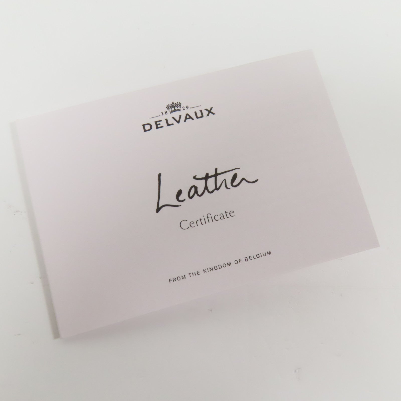 Delvaux 牛皮皮革Tempete MM金扣手挽肩背兩用袋