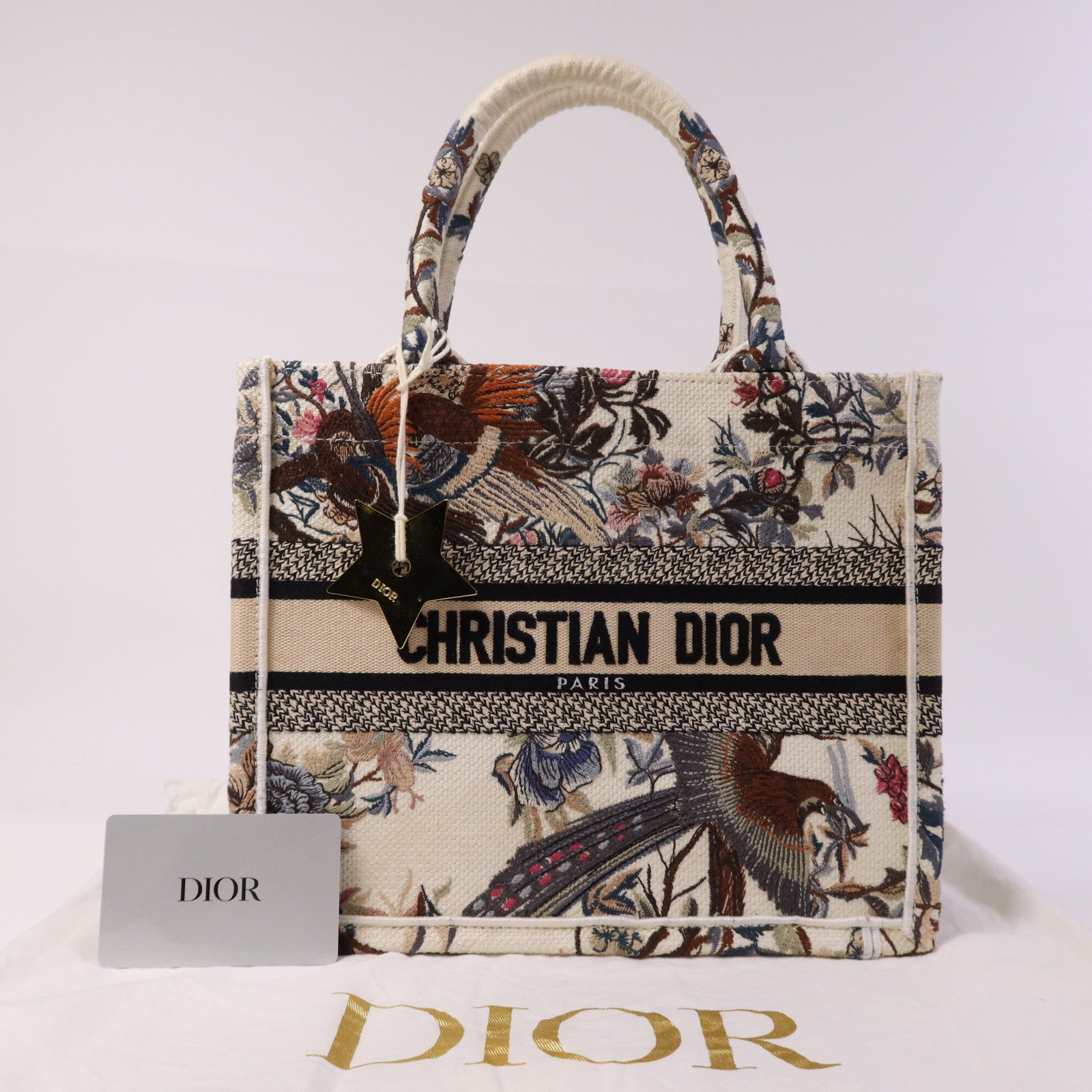 Dior 帆布Book Tote Small手挽袋