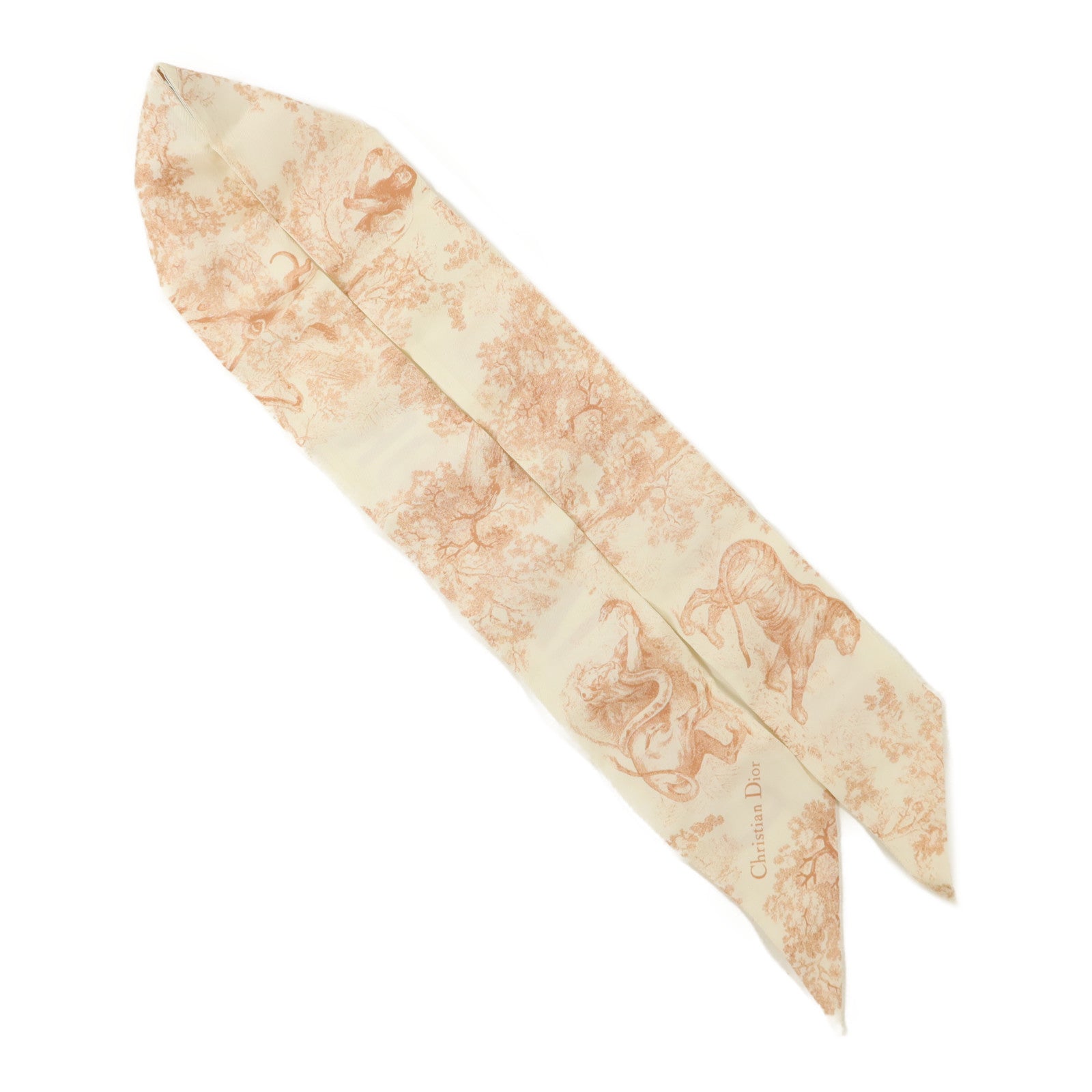 Dior 絲質Scarf絲巾