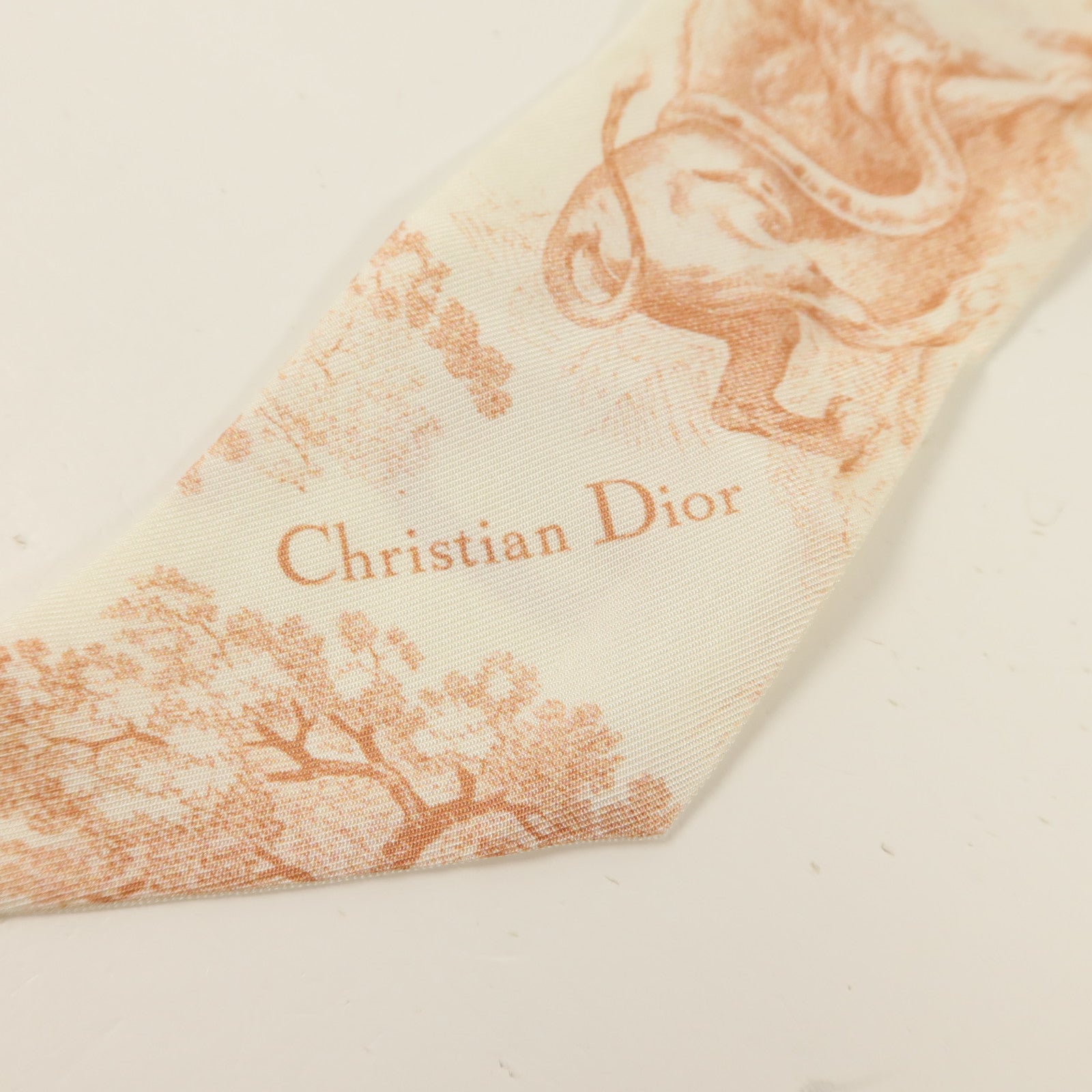 Dior 絲質Scarf絲巾