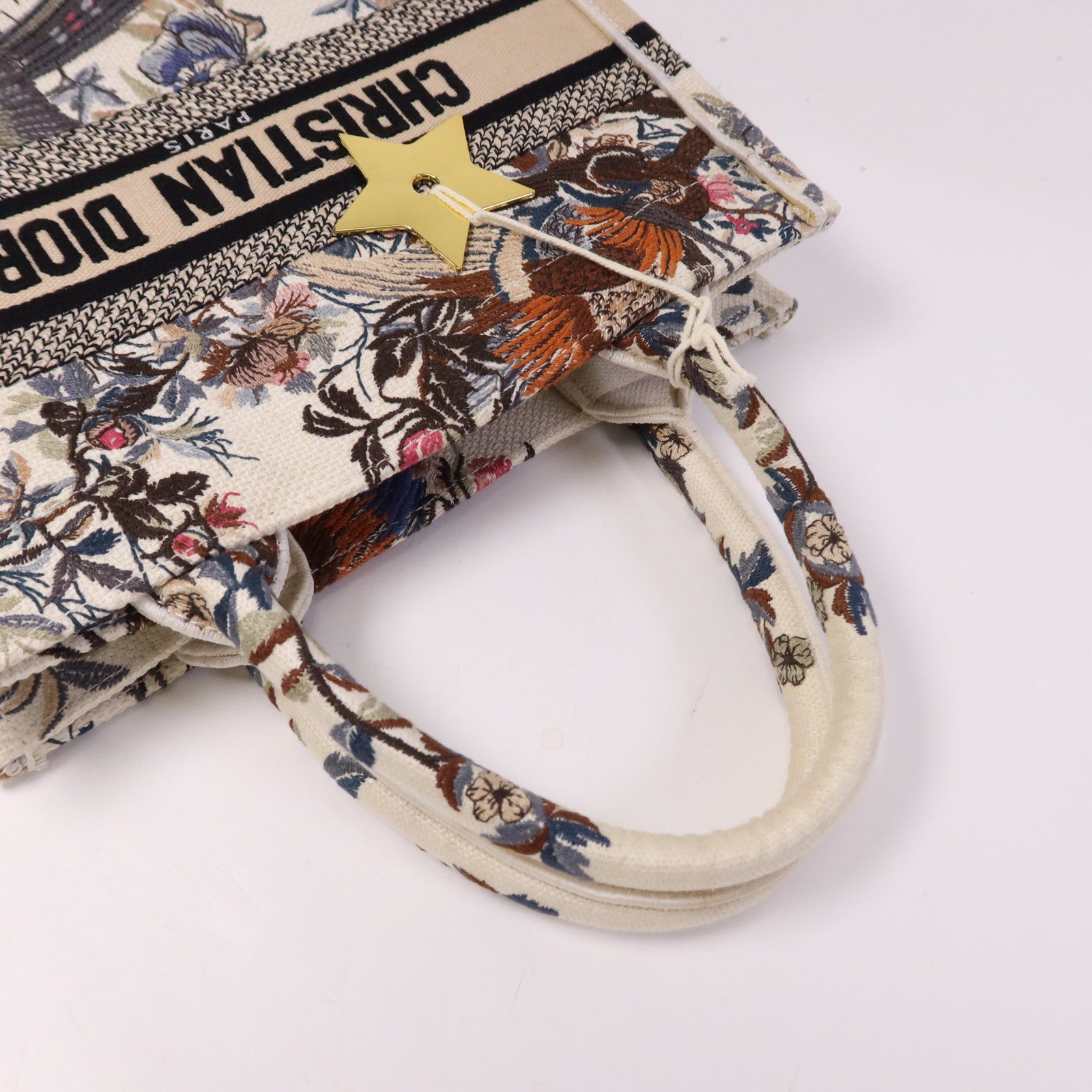 Dior 帆布Book Tote Small手挽袋