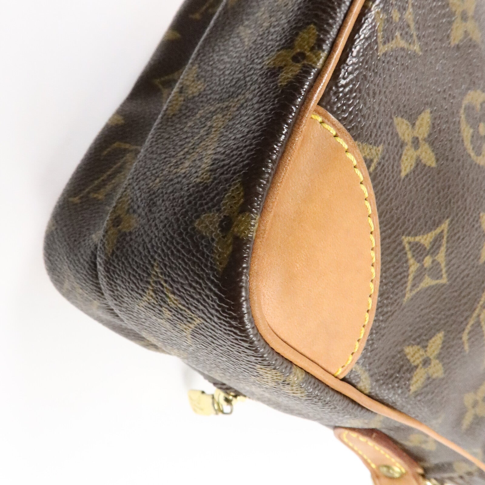 LOUIS VUITTON Monogram Amazon肩背袋