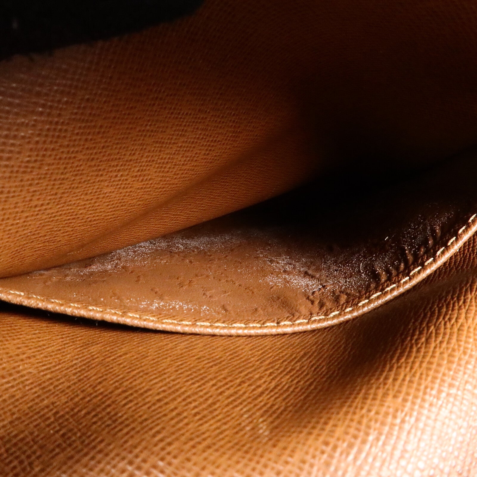 LOUIS VUITTON Monogram Amazon肩背袋