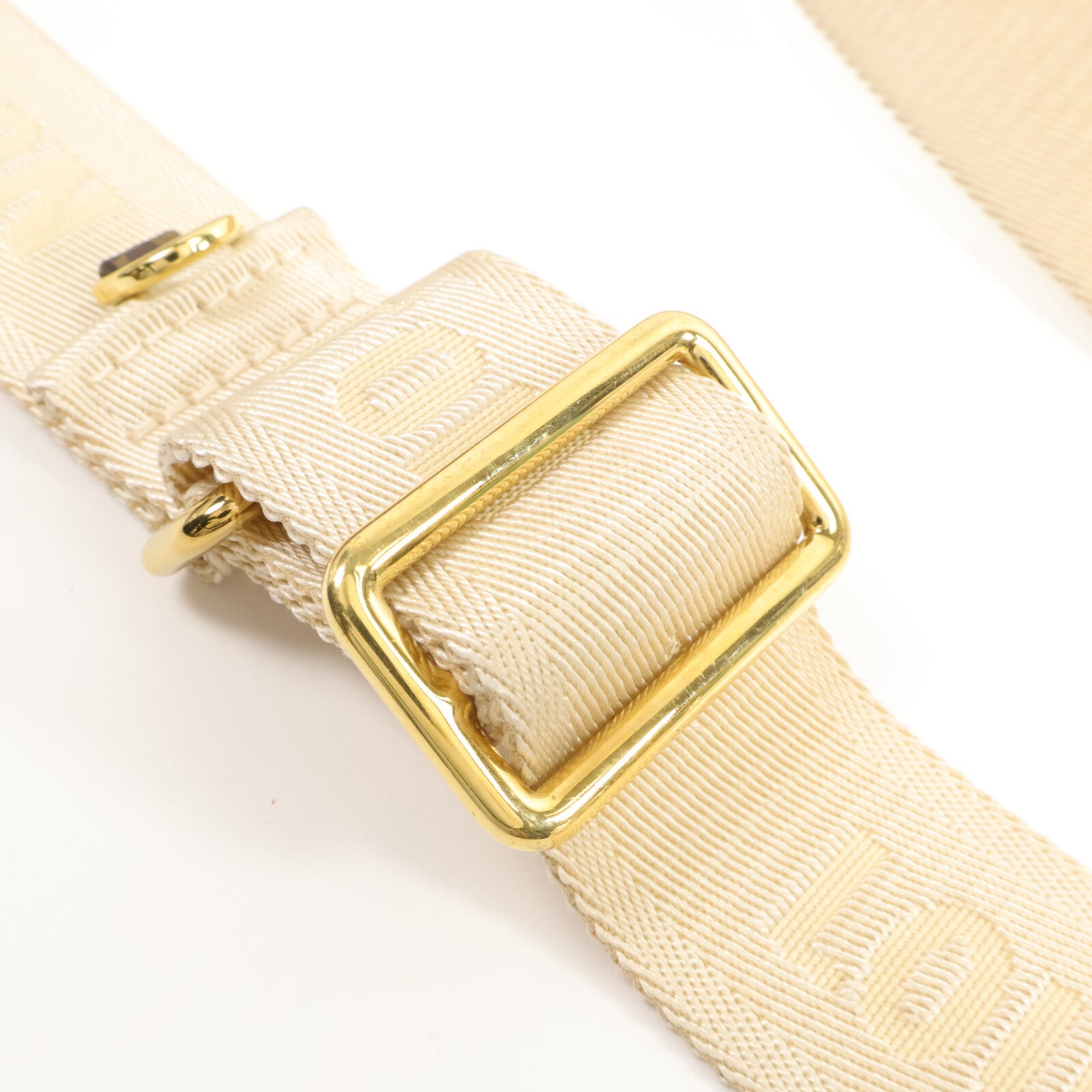 LOUIS VUITTON Monogram Giant OnTheGo PM手挽肩背兩用袋