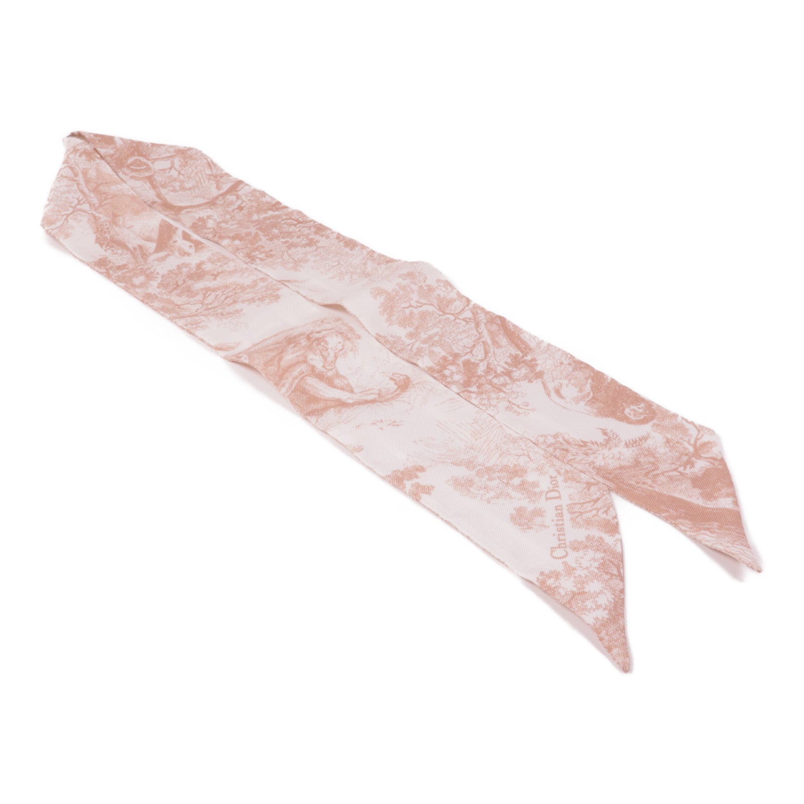 Dior 絲質Mitzah Scarf絲巾