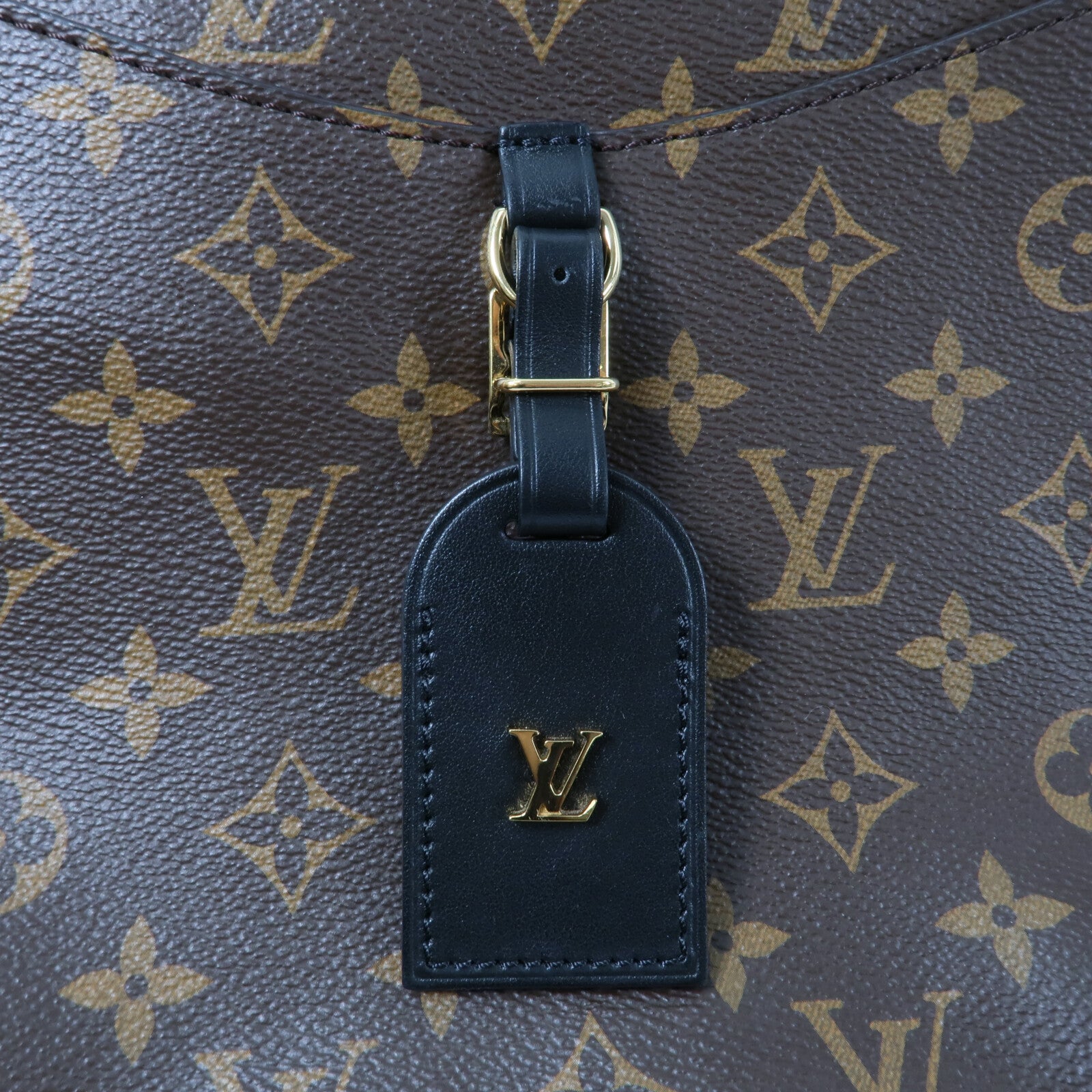 LOUIS VUITTON Monogram Odeon PM肩背袋