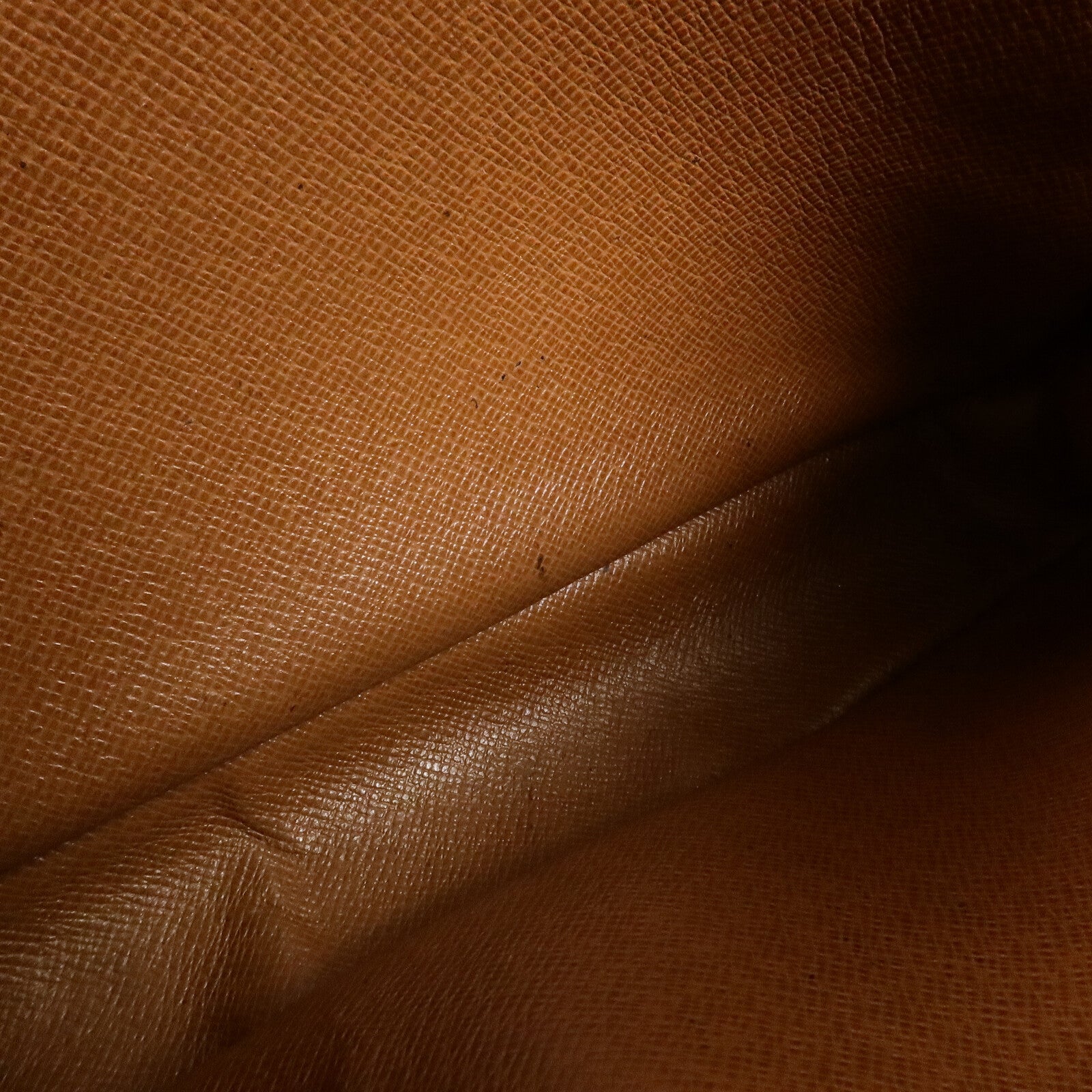 LOUIS VUITTON Monogram Marly Dragonne GM手拿包