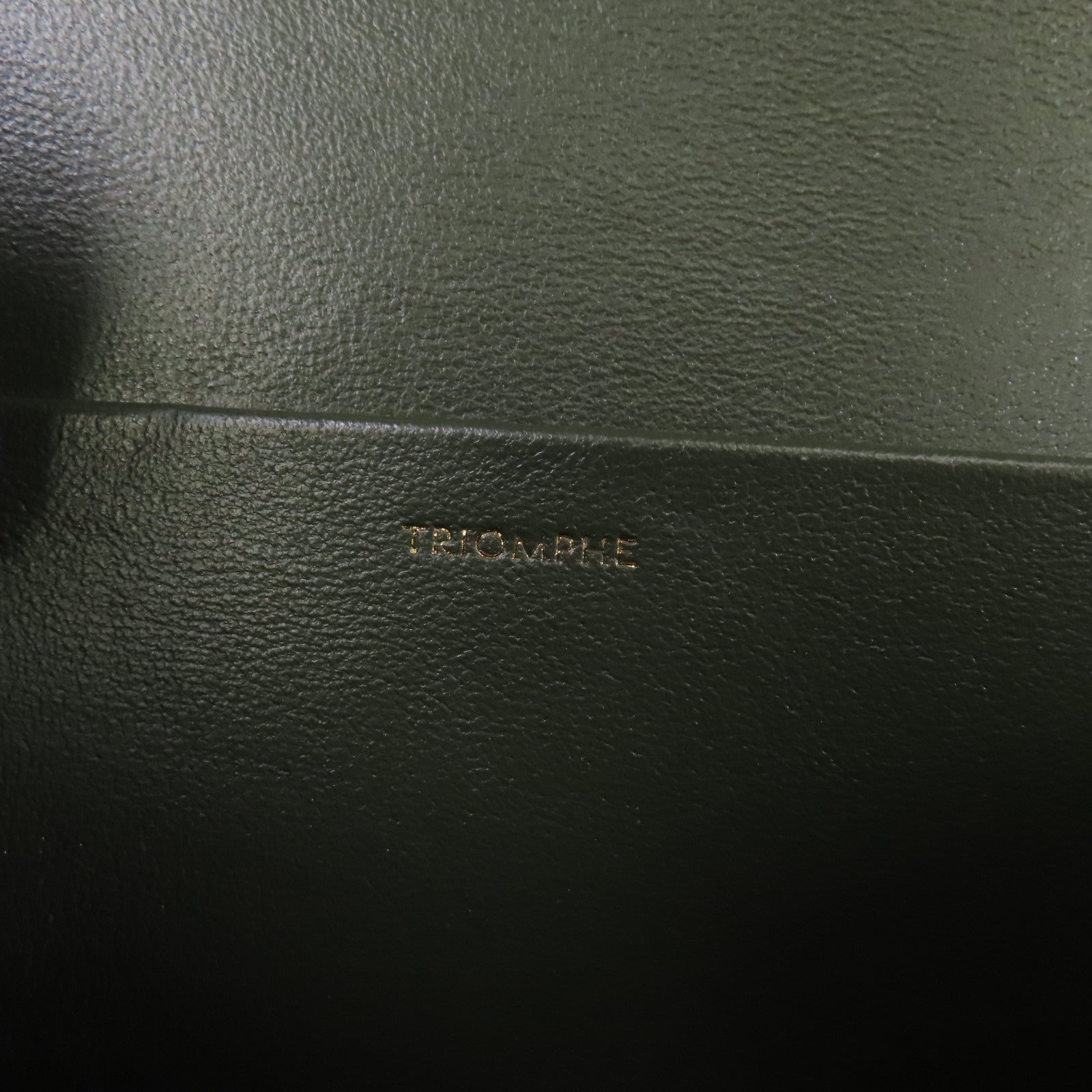 CELINE 牛皮皮革Tiromphe Medium金扣肩背袋綠色