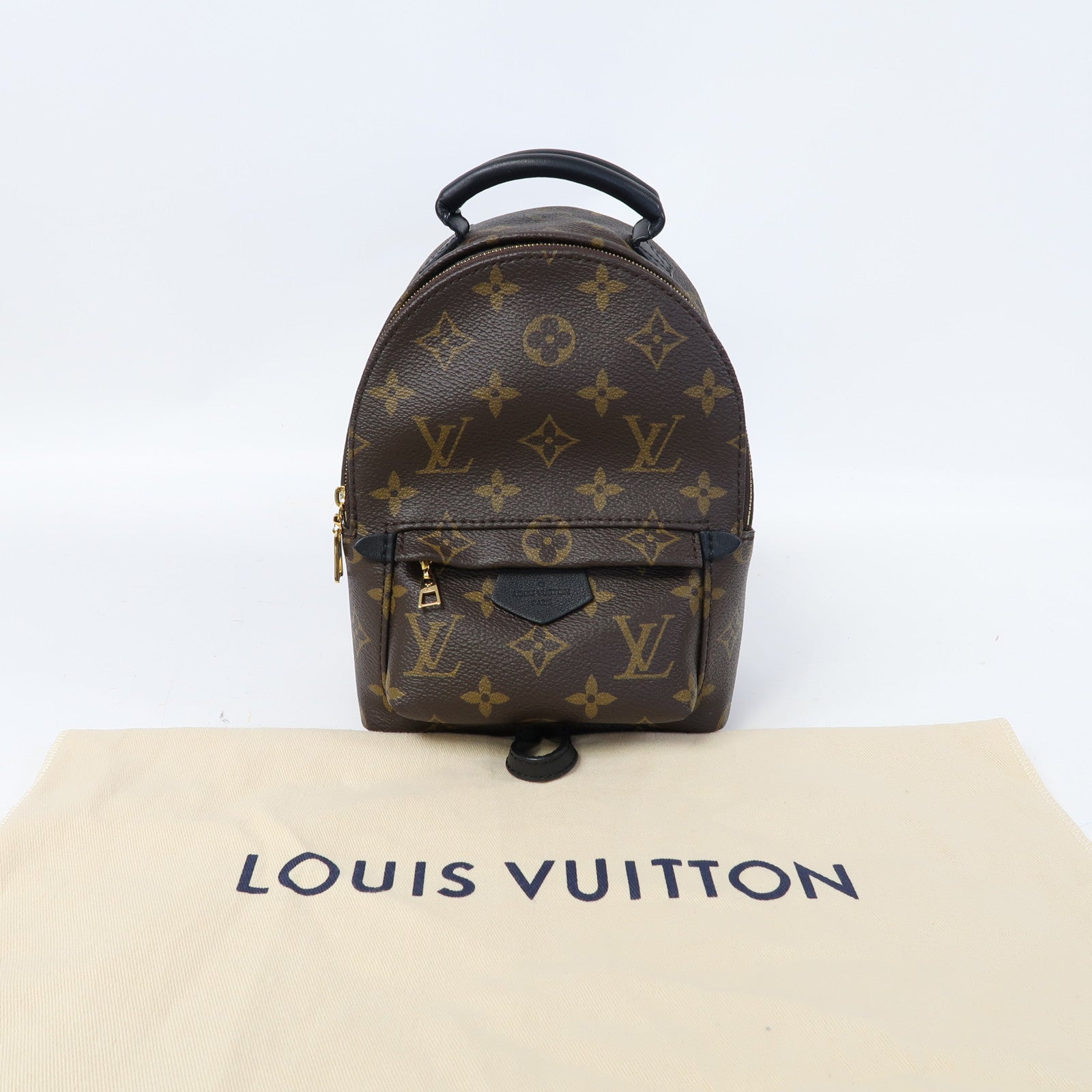 LOUIS VUITTON Monogram Palm Springs Mini金扣背包啡色