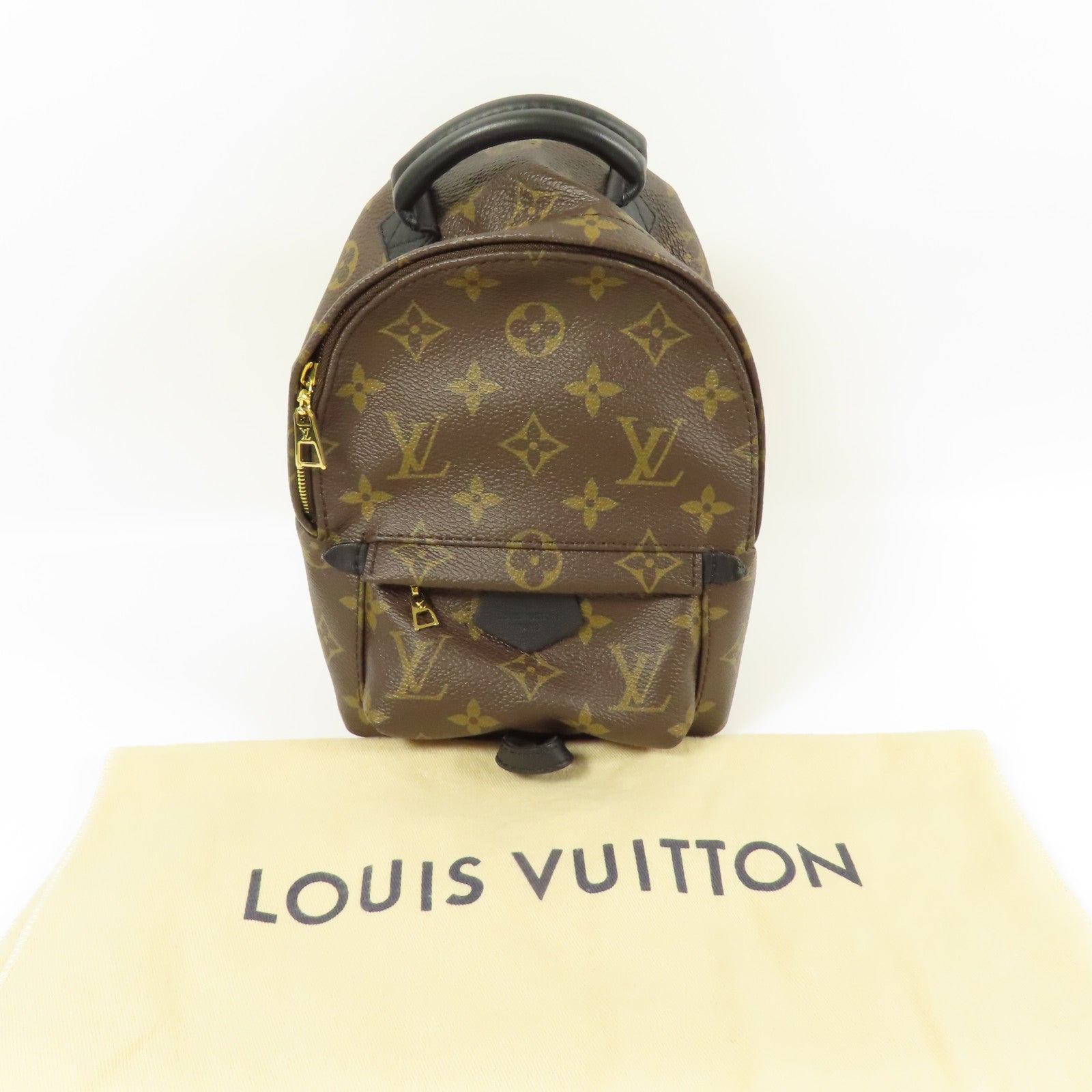LOUIS VUITTON LV GHW Palm Spring Mini Backpack Monogram M44873 Brown